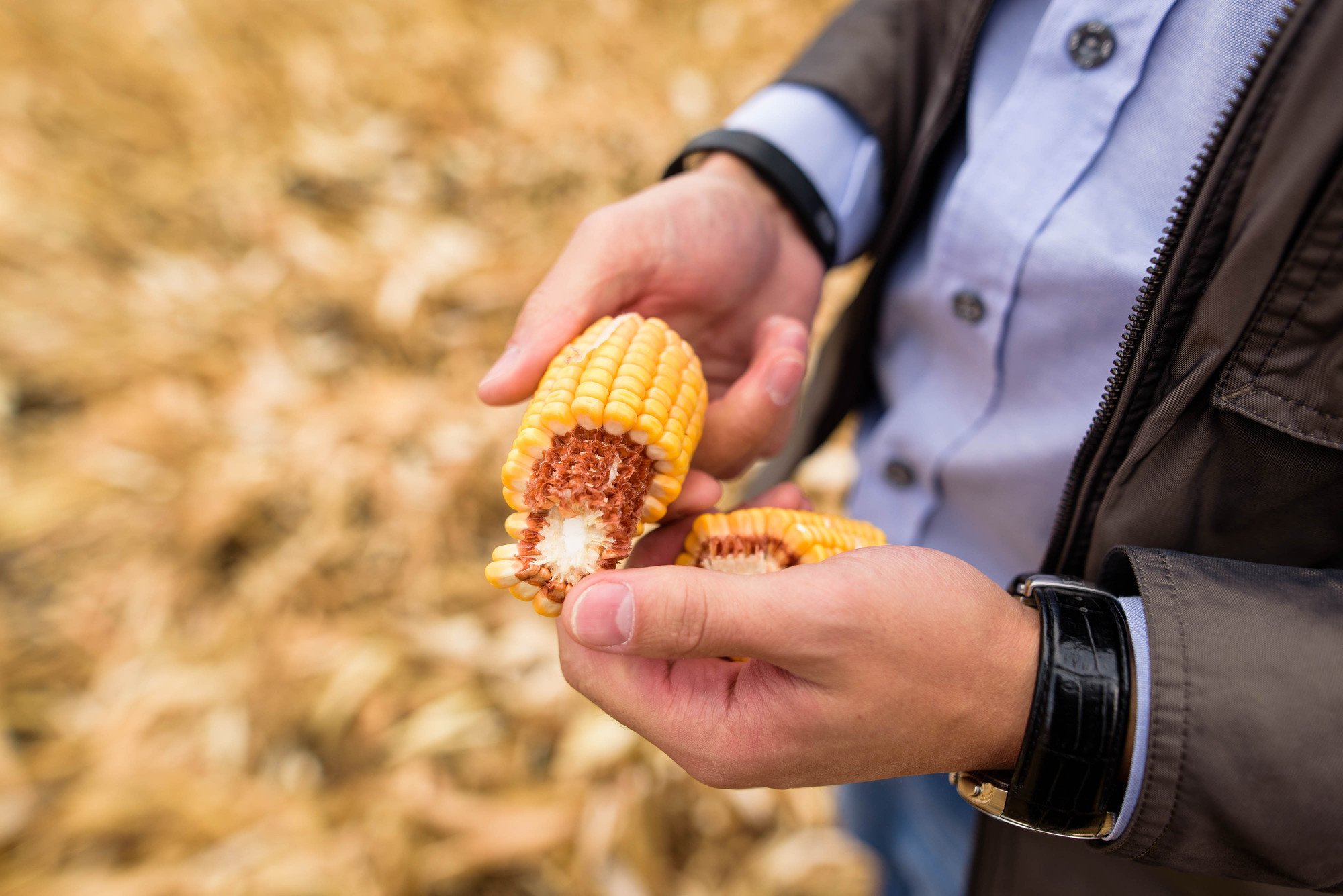 УРОКжайный год!. Свадебный и семейный фотограф Тамбов