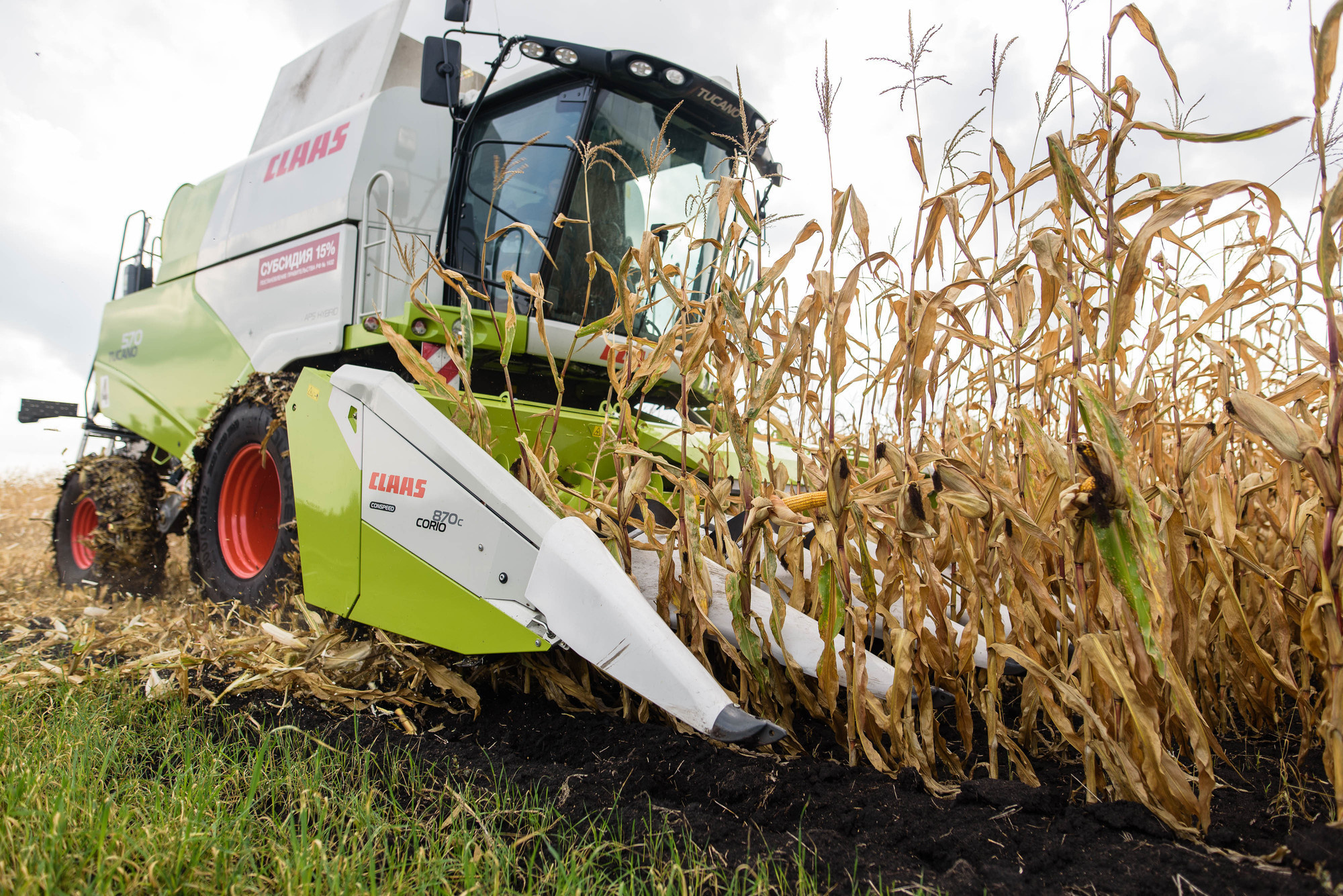 УРОКжайный год!. Свадебный и семейный фотограф Тамбов