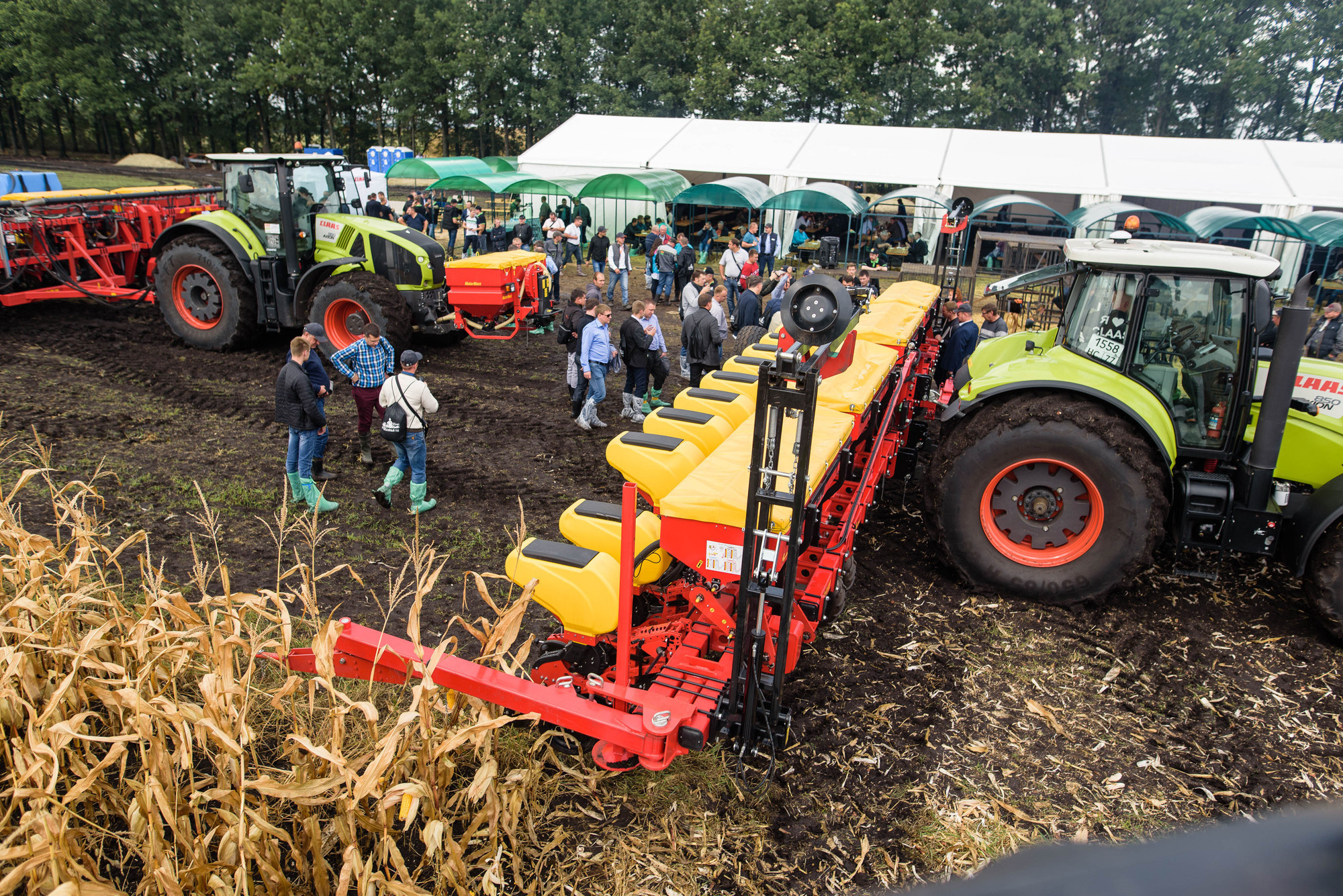 УРОКжайный год!. Свадебный и семейный фотограф Тамбов