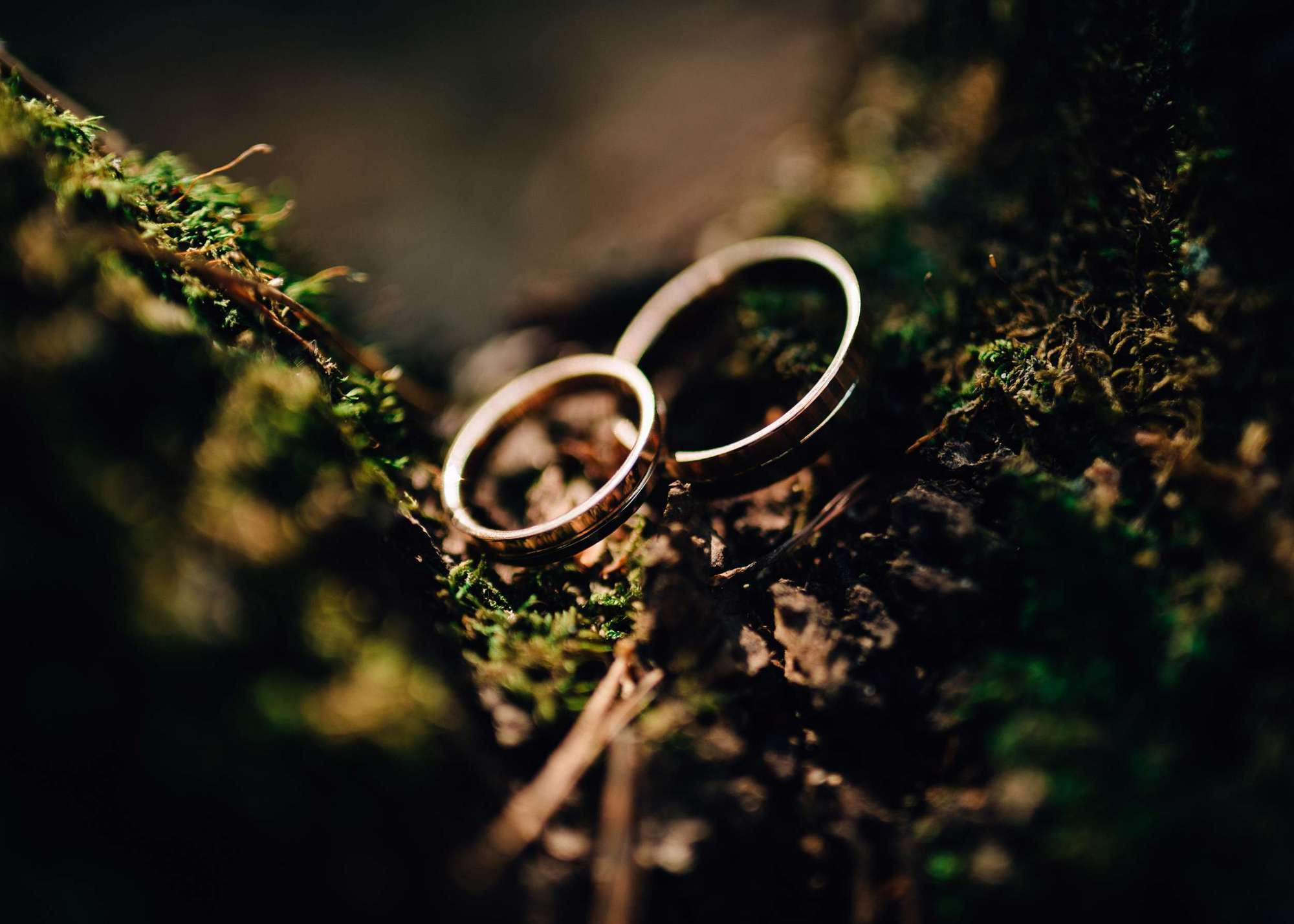 Александра и Александр. Свадебный и семейный фотограф Тамбов