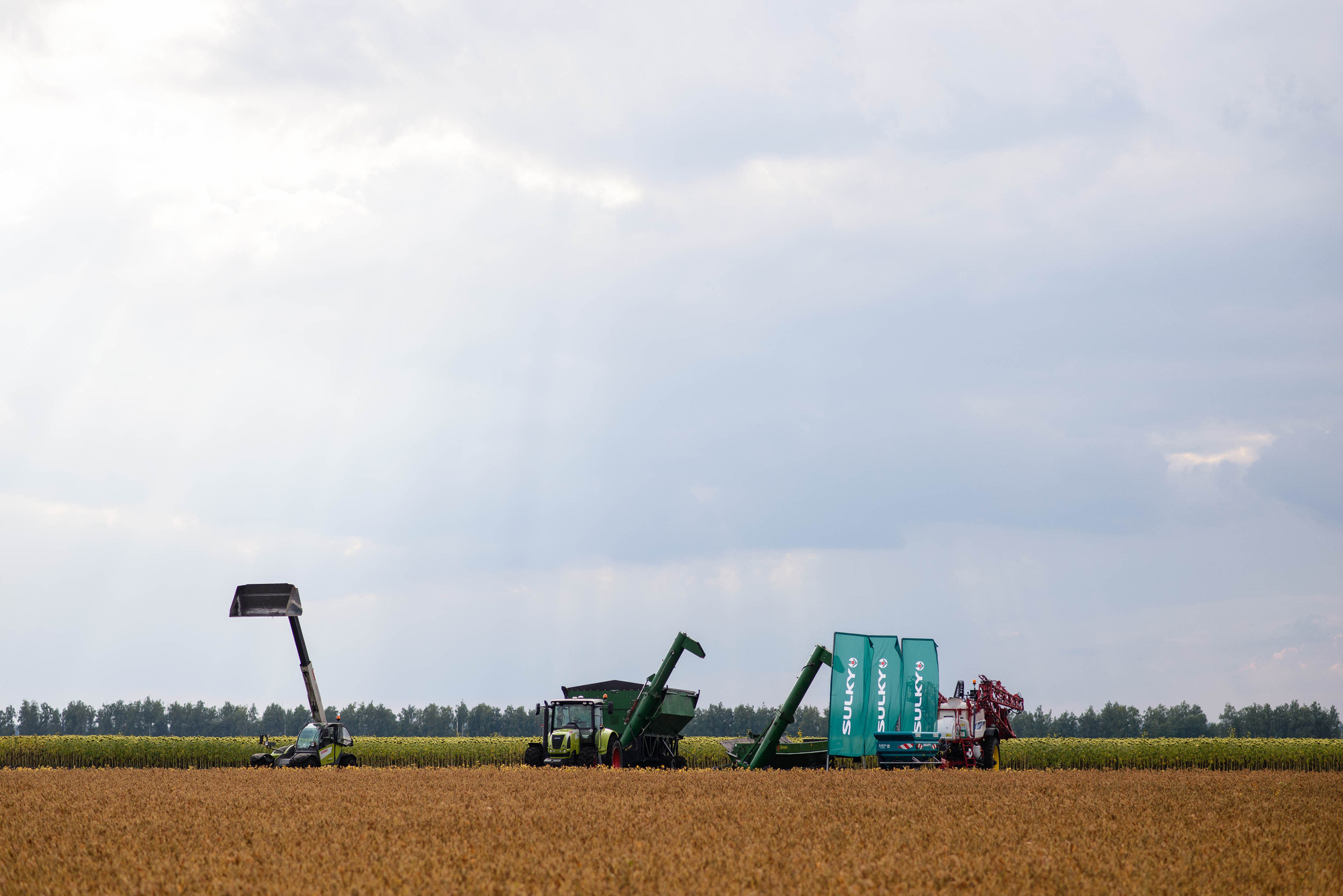 УРОКжайный год!. Свадебный и семейный фотограф Тамбов