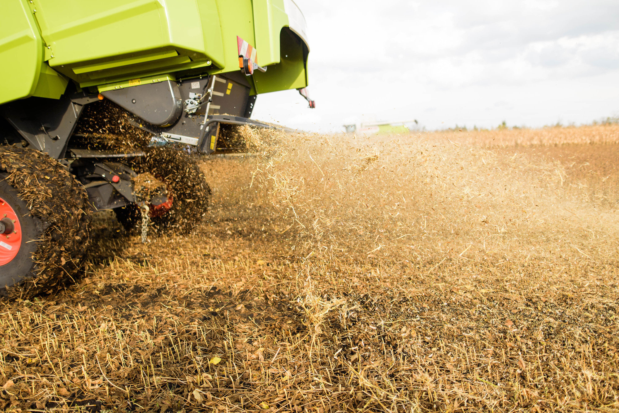 УРОКжайный год!. Свадебный и семейный фотограф Тамбов