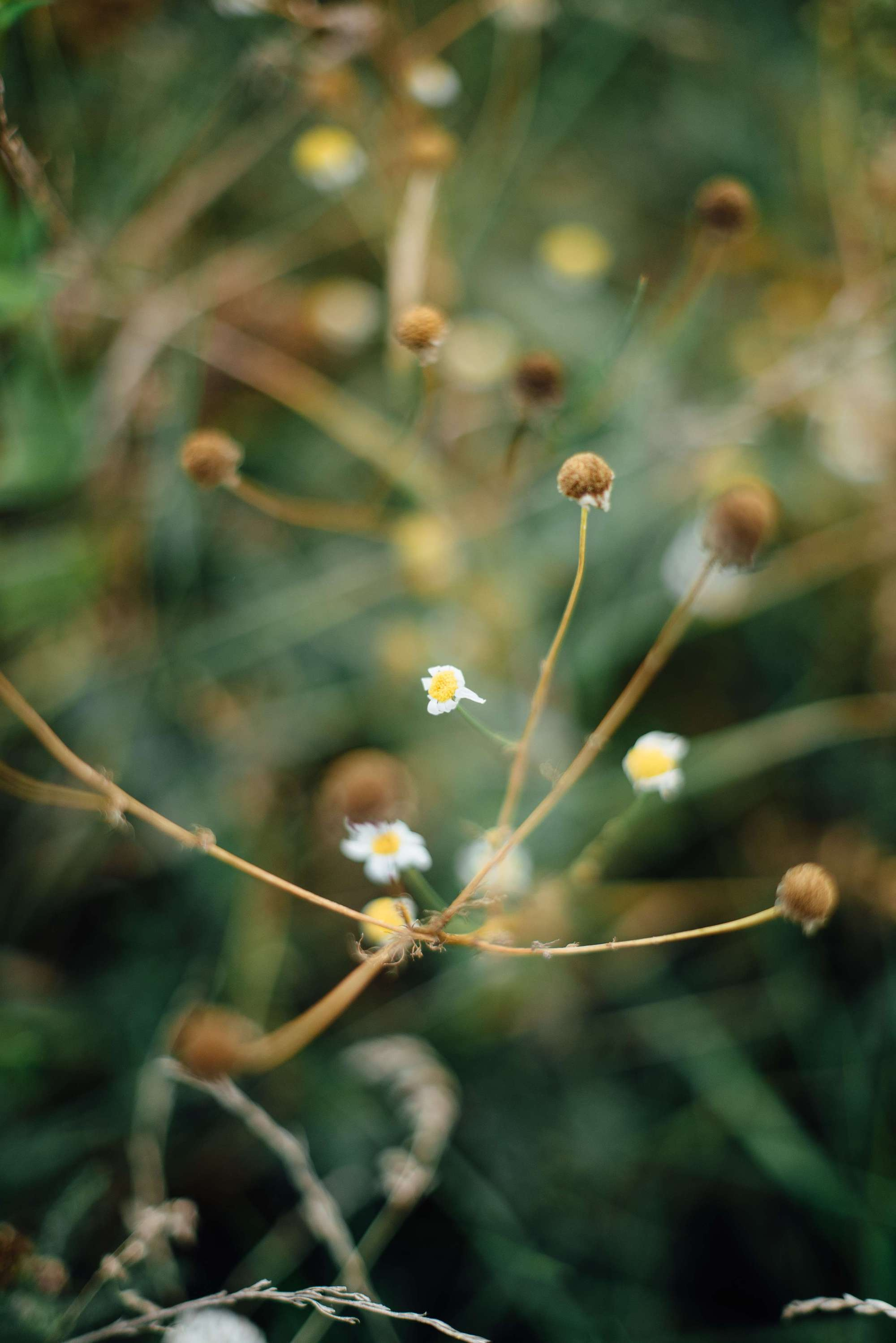 Катя и Тимур. Свадебный и семейный фотограф Тамбов