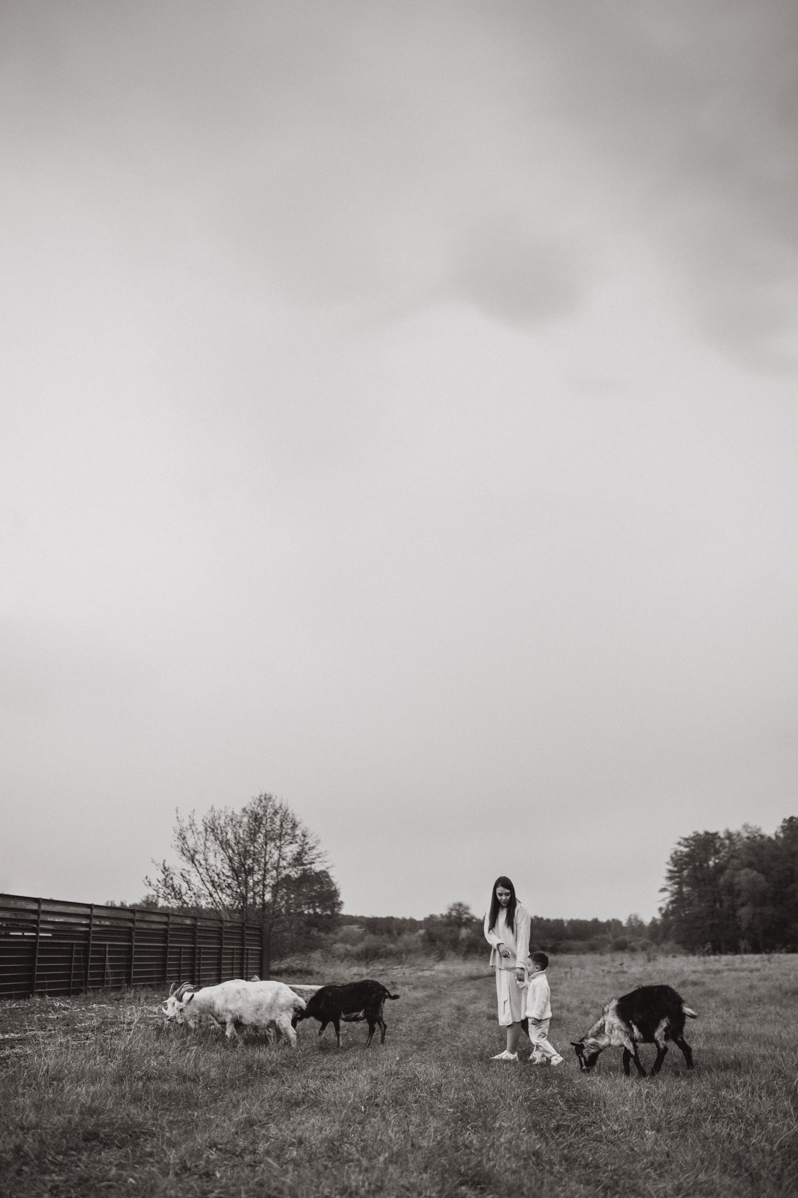 Таня и Илья. Семейный и детский фотограф Башкатова Дарья Старый Оскол