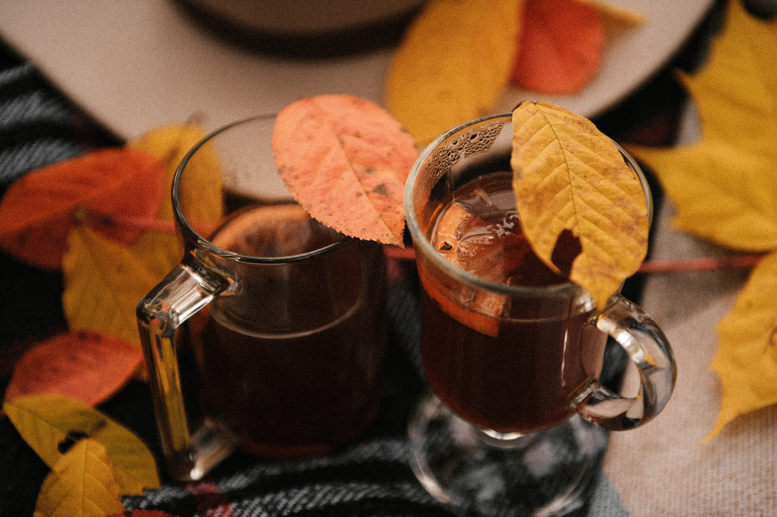 V&V. Свадебный фотограф в Ярославле и Москве Руслан Иософатов