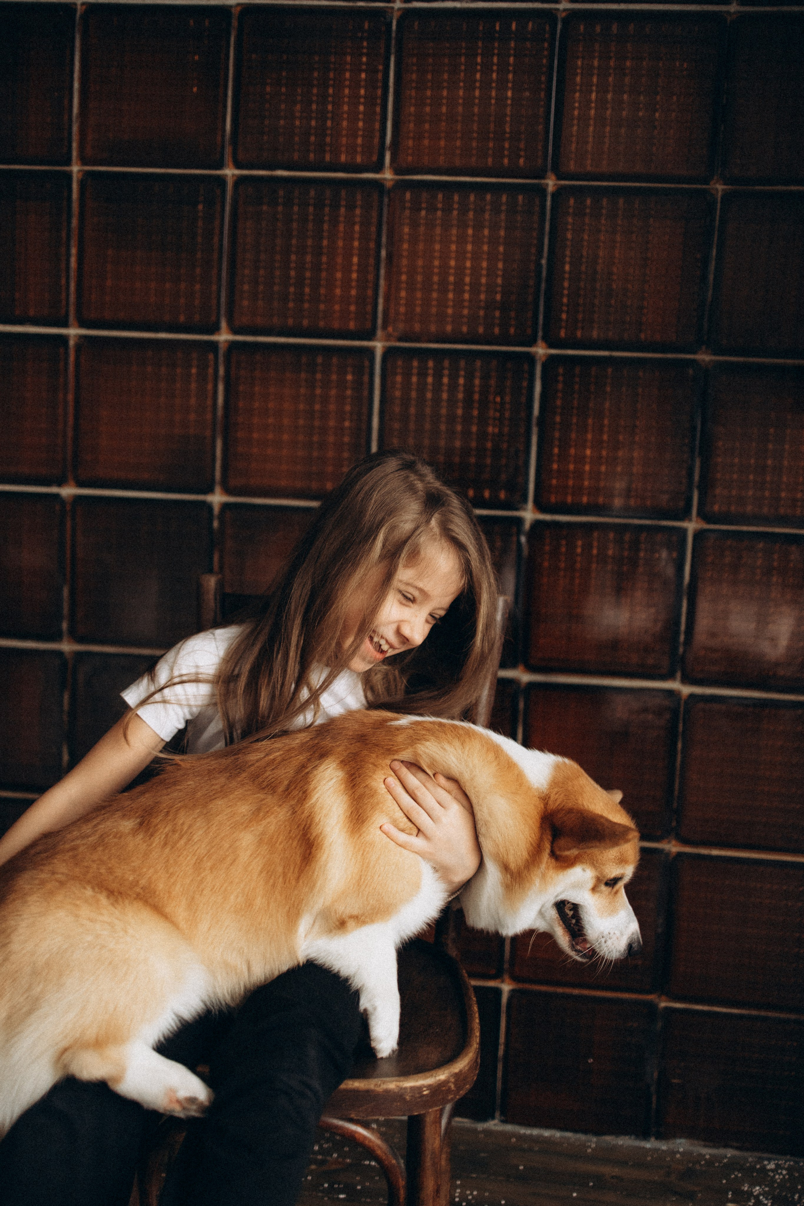 Зевс и его семья. Фотораф — анималист Мария Шистка