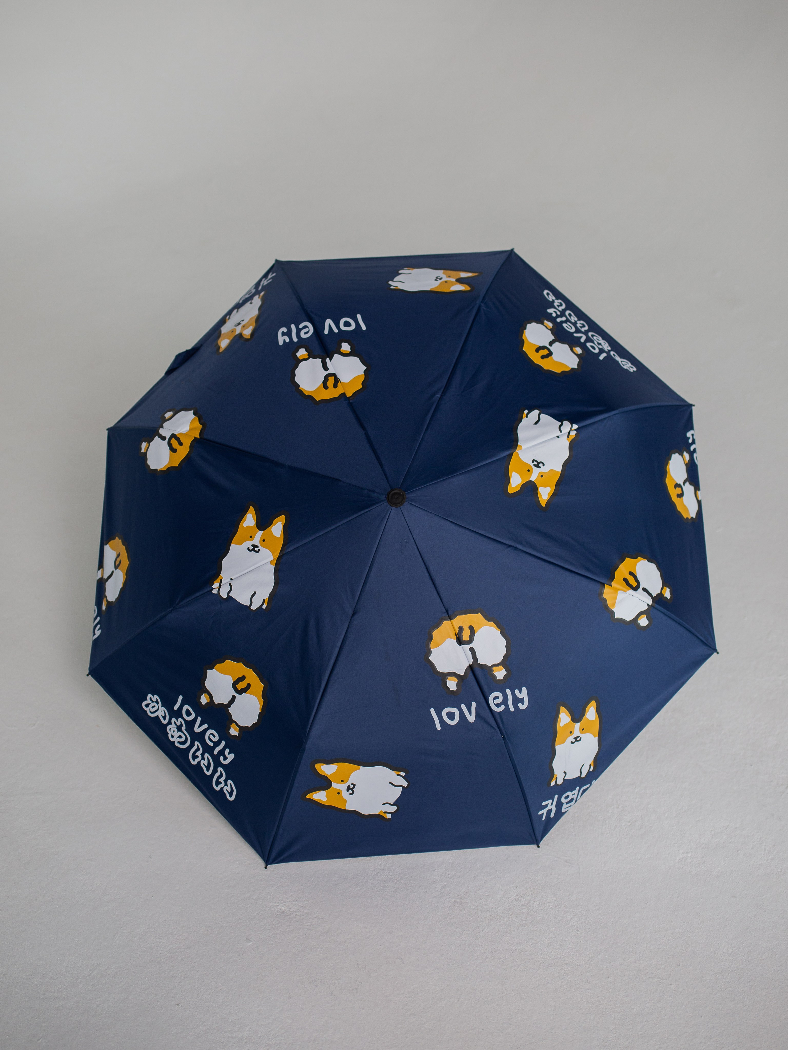 Зонты. Семейный фотограф Николаева Ольга