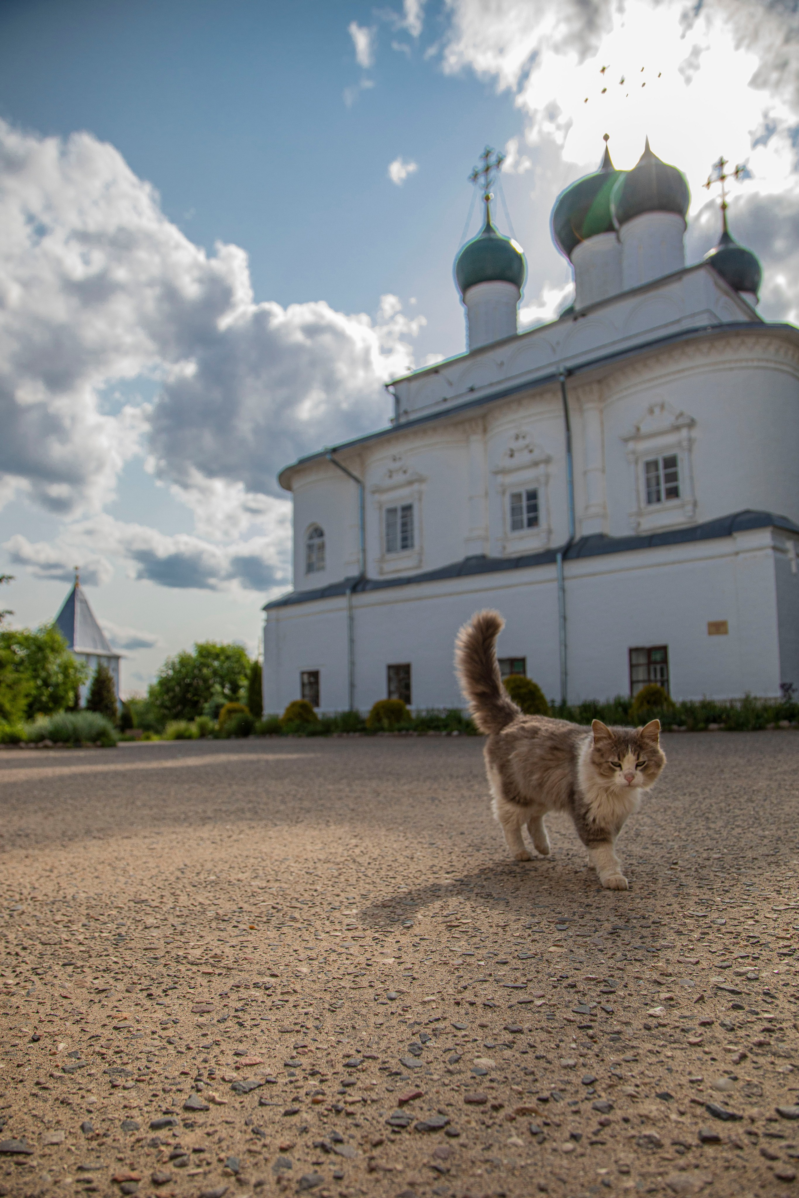 Про жизнь. Фотограф Сергей Ловкий
