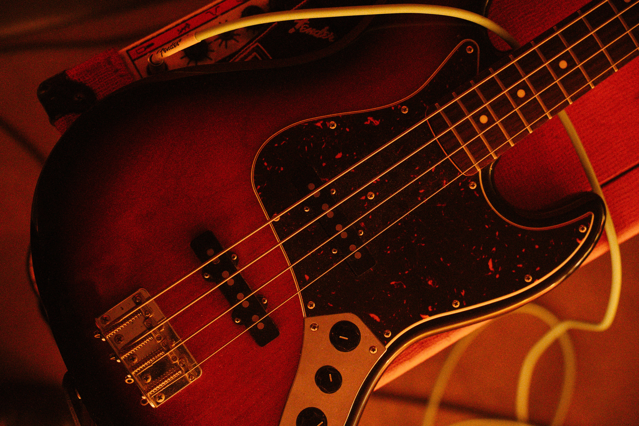 Смех, любовь и немного хаоса. Фотограф Евстигнеев Илья