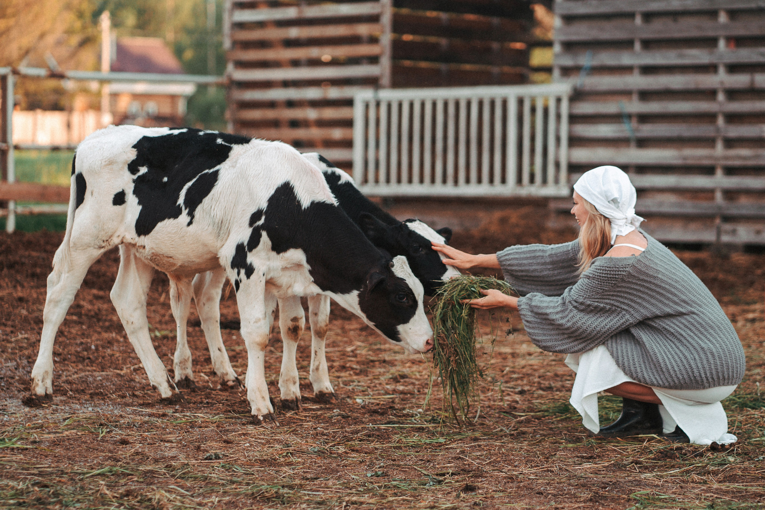 Художественные. Главная