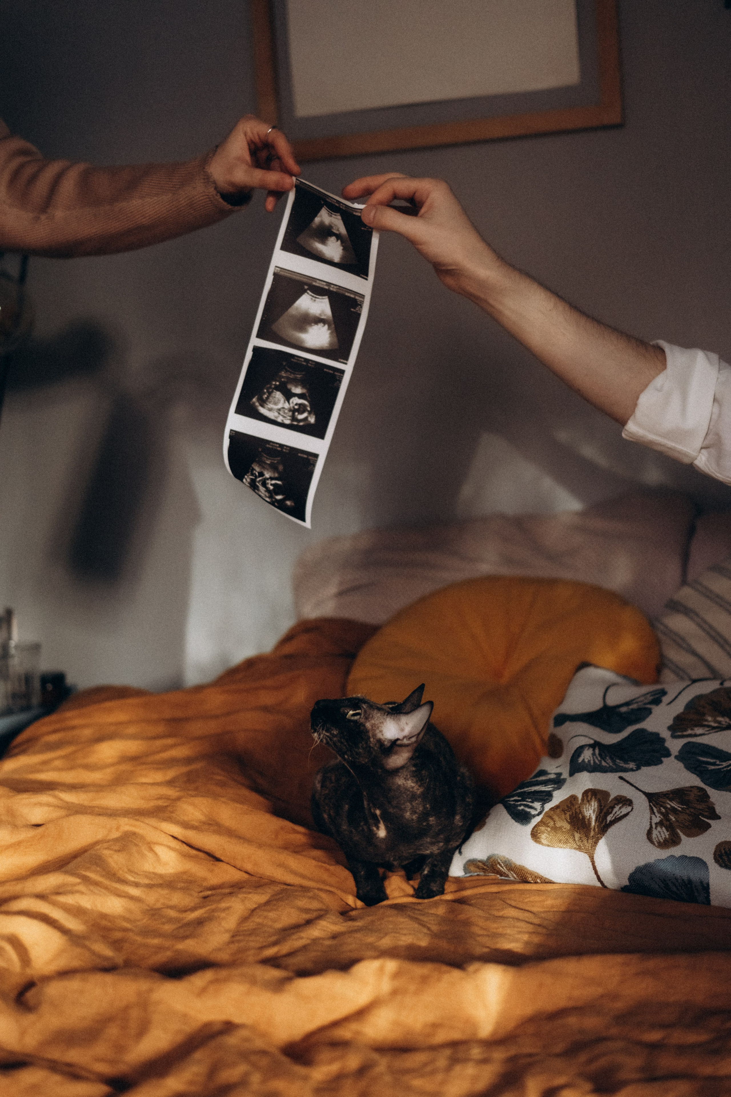 Домашняя, в студии. Портретный и семейный фотограф в Красноярске Смирнова Наталья