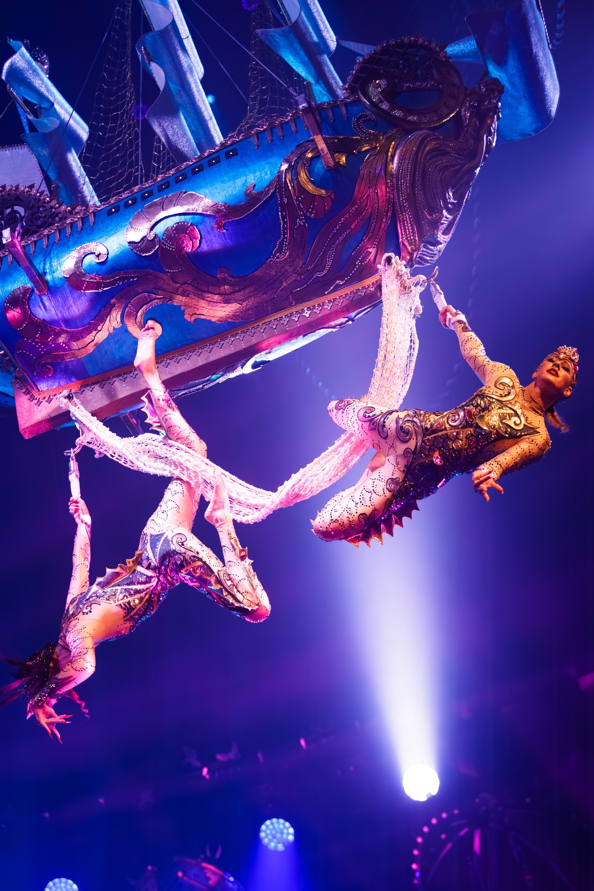 Сочинский росгорцирк Шоу Гии Эрадзе цирк. Профессиональный фотограф в Сочи Виктория Джой. Обучение