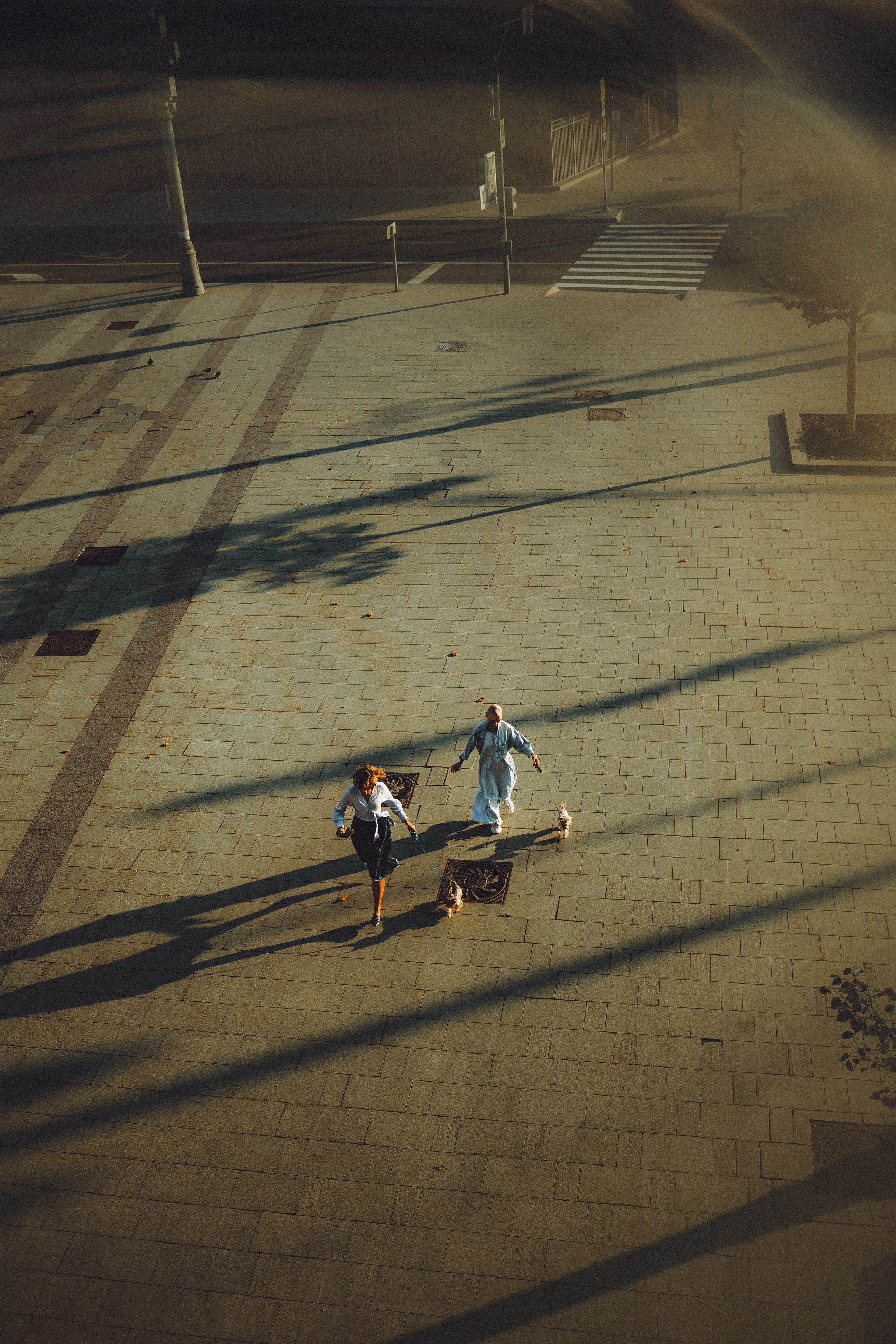 Дженни, Оливия и их семья