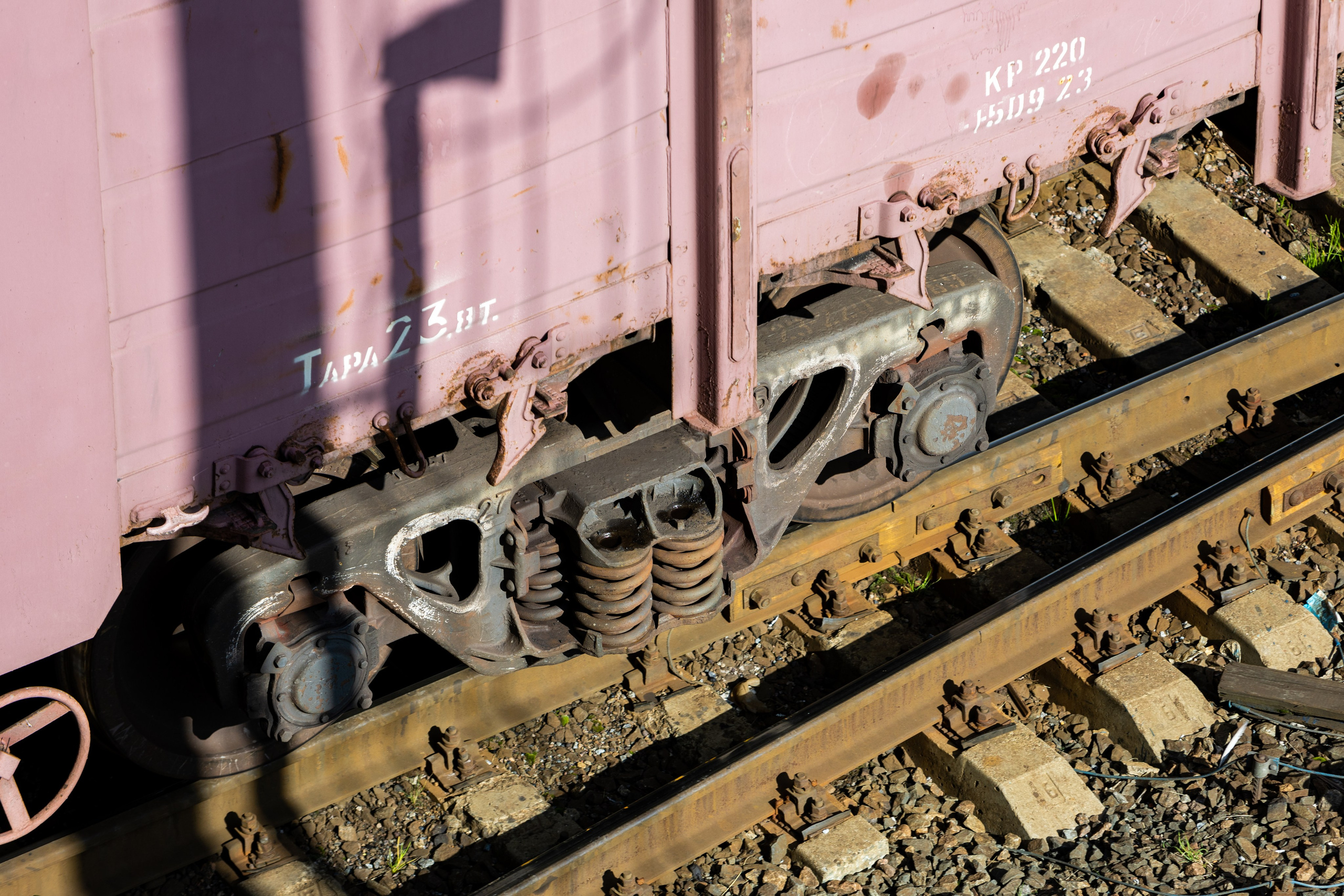 Авторская фотография и эстетика Петербурга | Роман Карбышев. Репортажный фотограф | Снимки за 3 дня | СПБ и ЛО