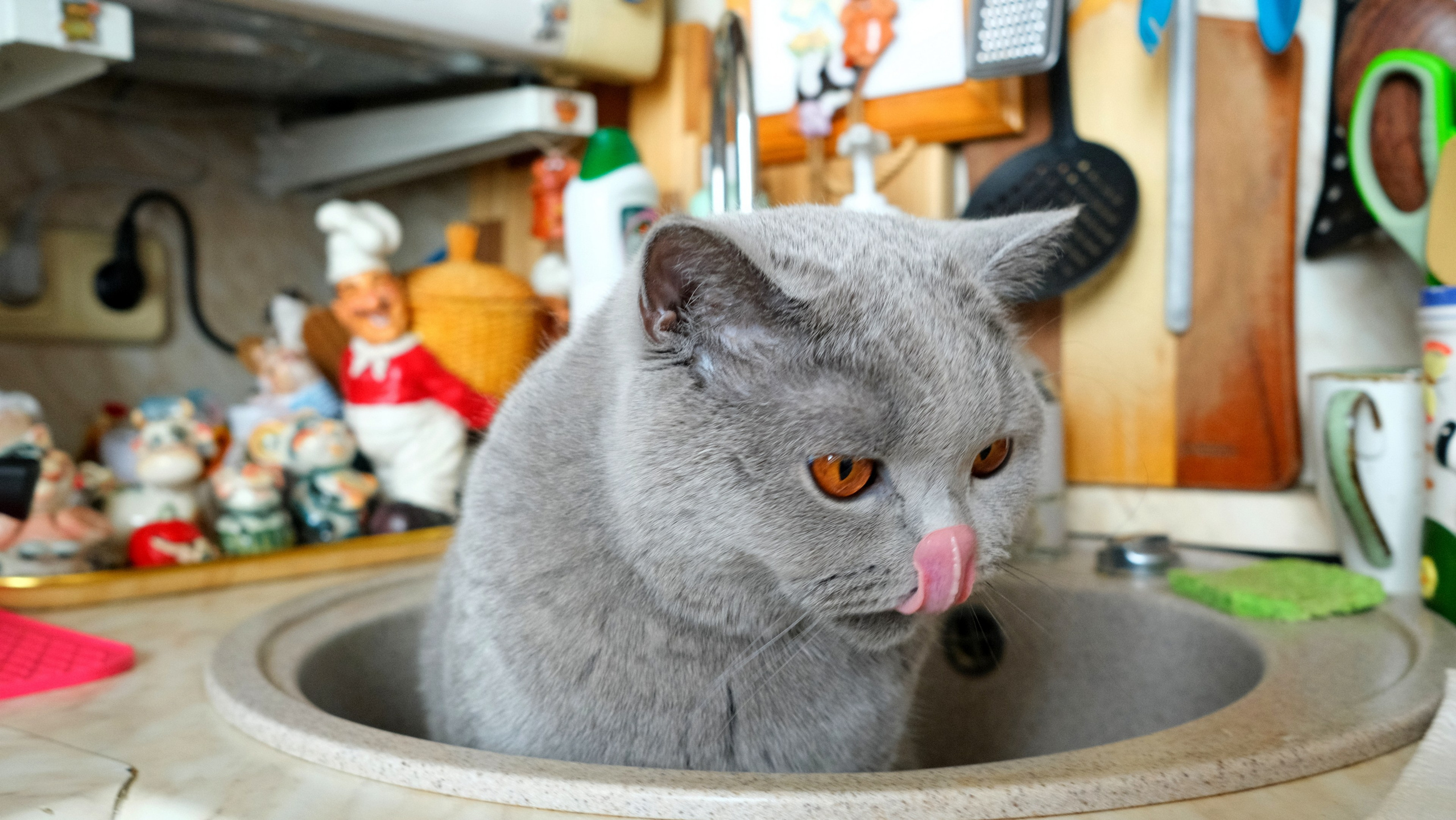 Улица, люди, жизнь…