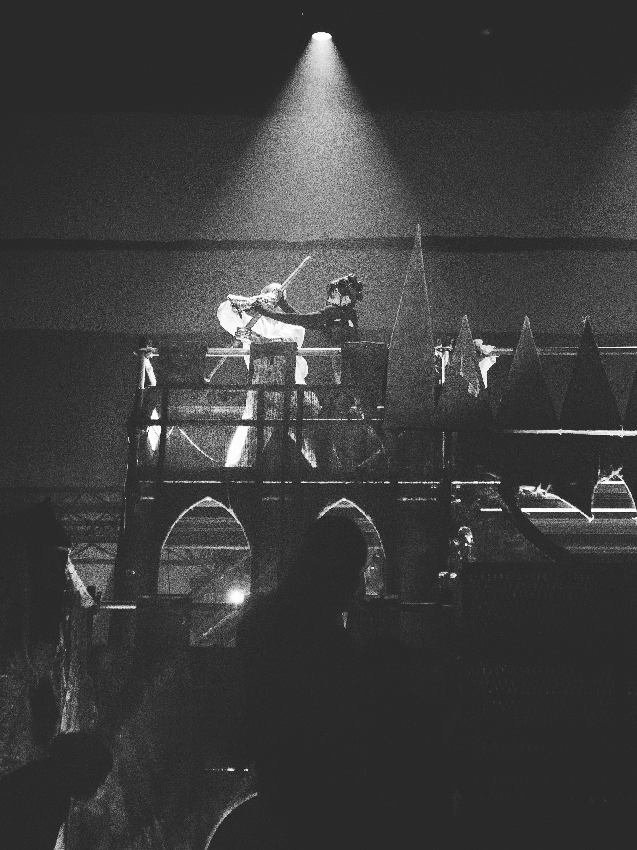 Хаски. Битва при Москве'26. RUSLAN ROZANOV