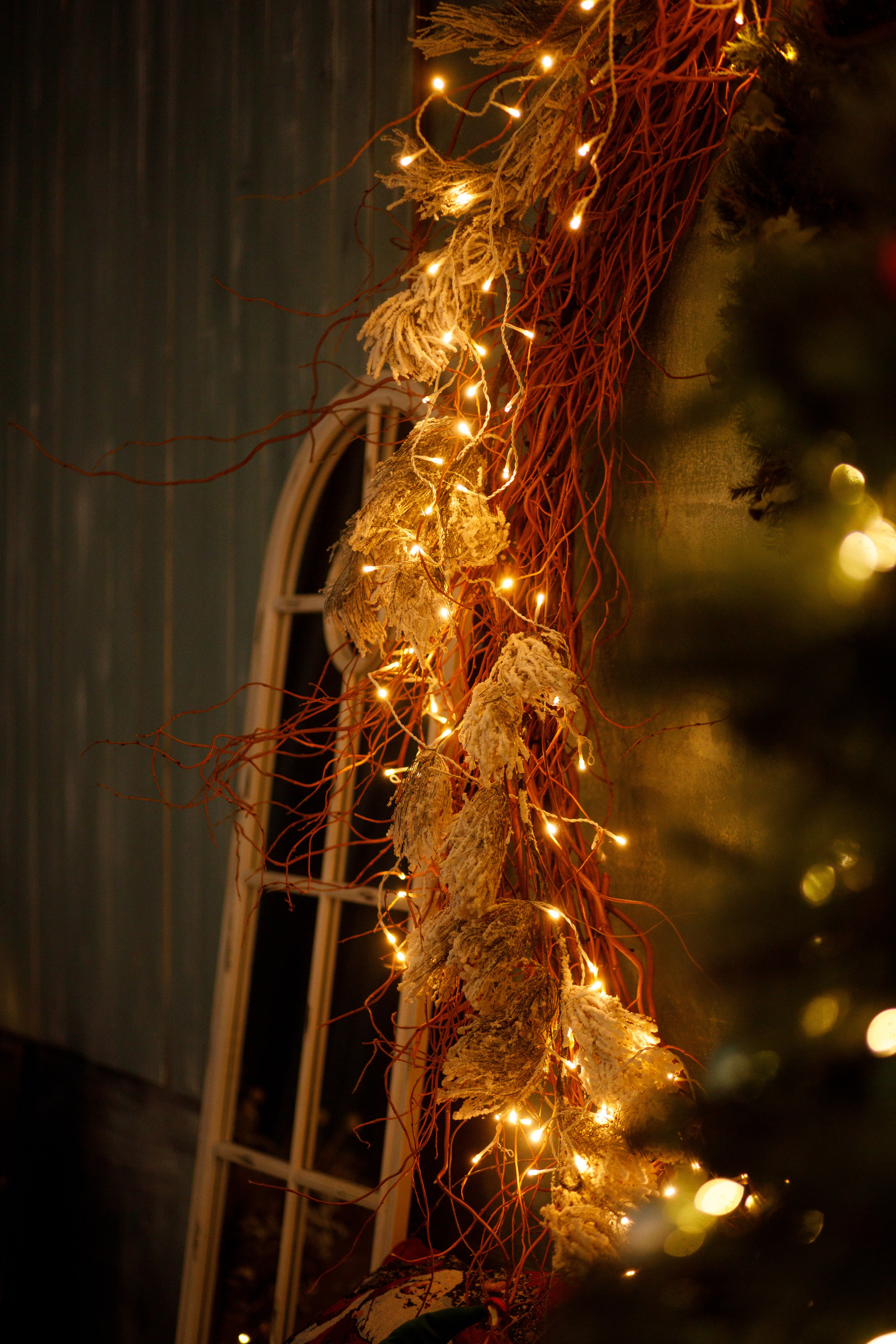 Семейная новогодняя фотосессия Петропавловск. Свадебный и Семейный фотограф в Петрпавловске