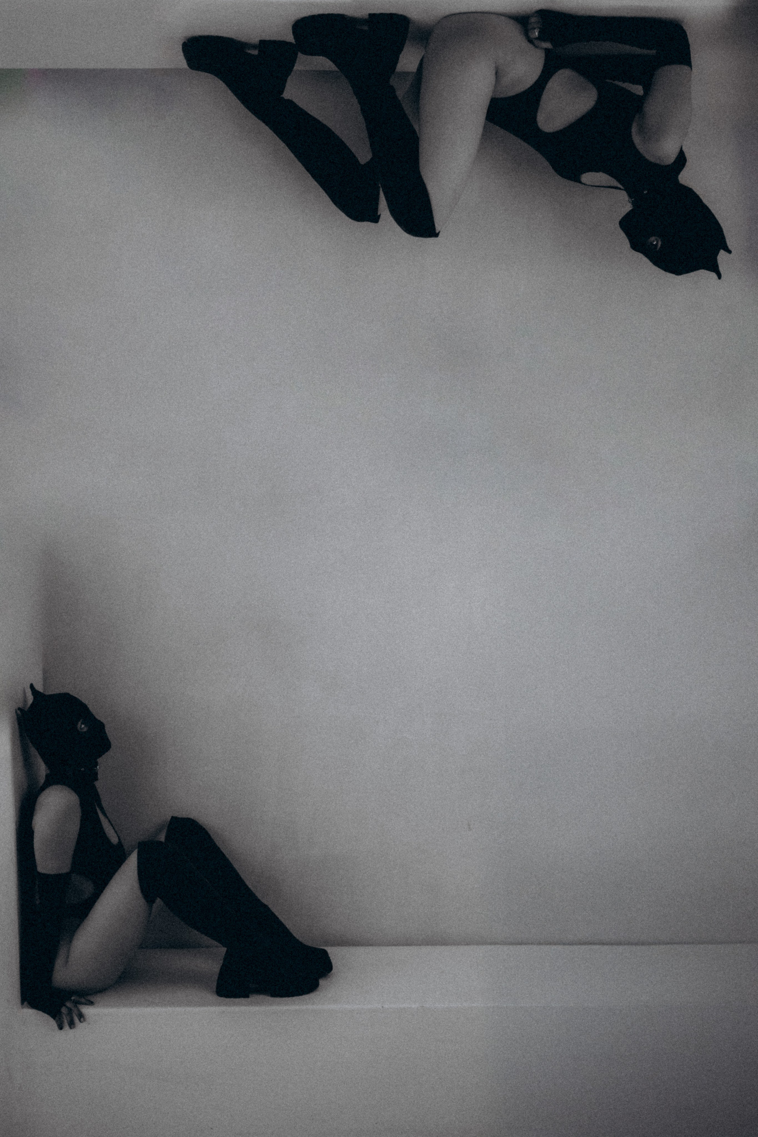 Littldevil. Фото-художник