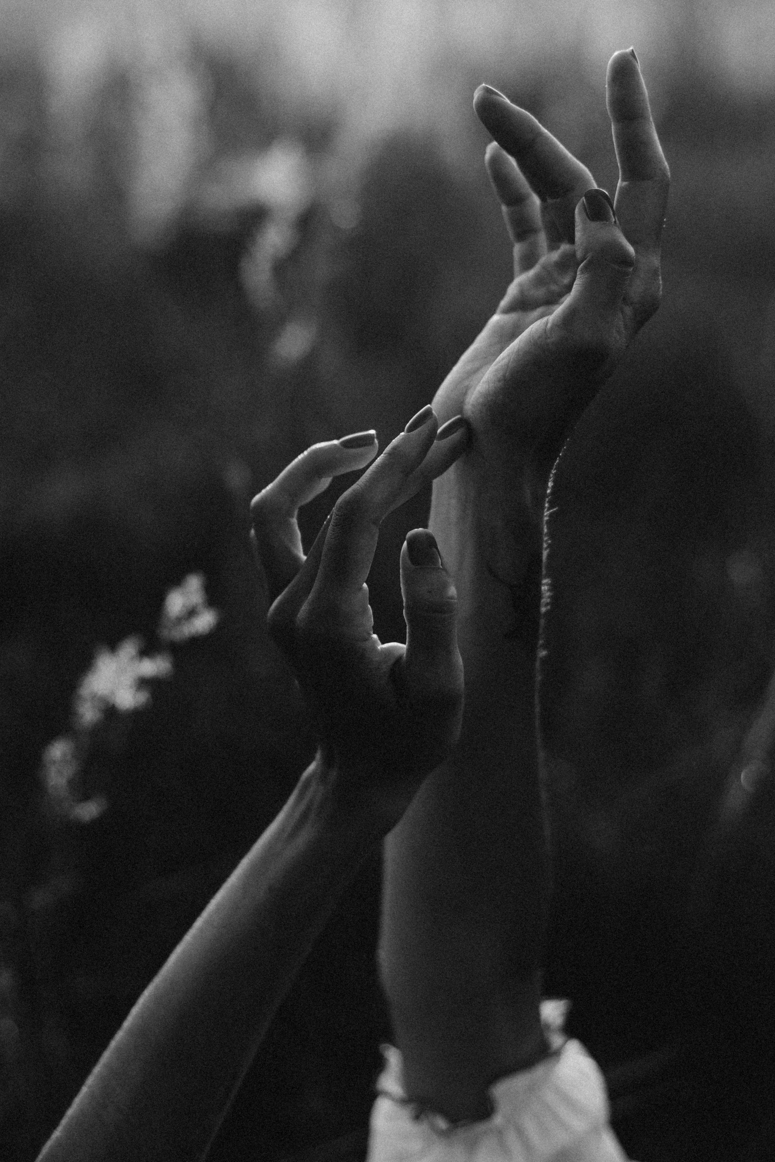 Портрет. Семейный фотограф в Минске и РБ Стеликова Анна