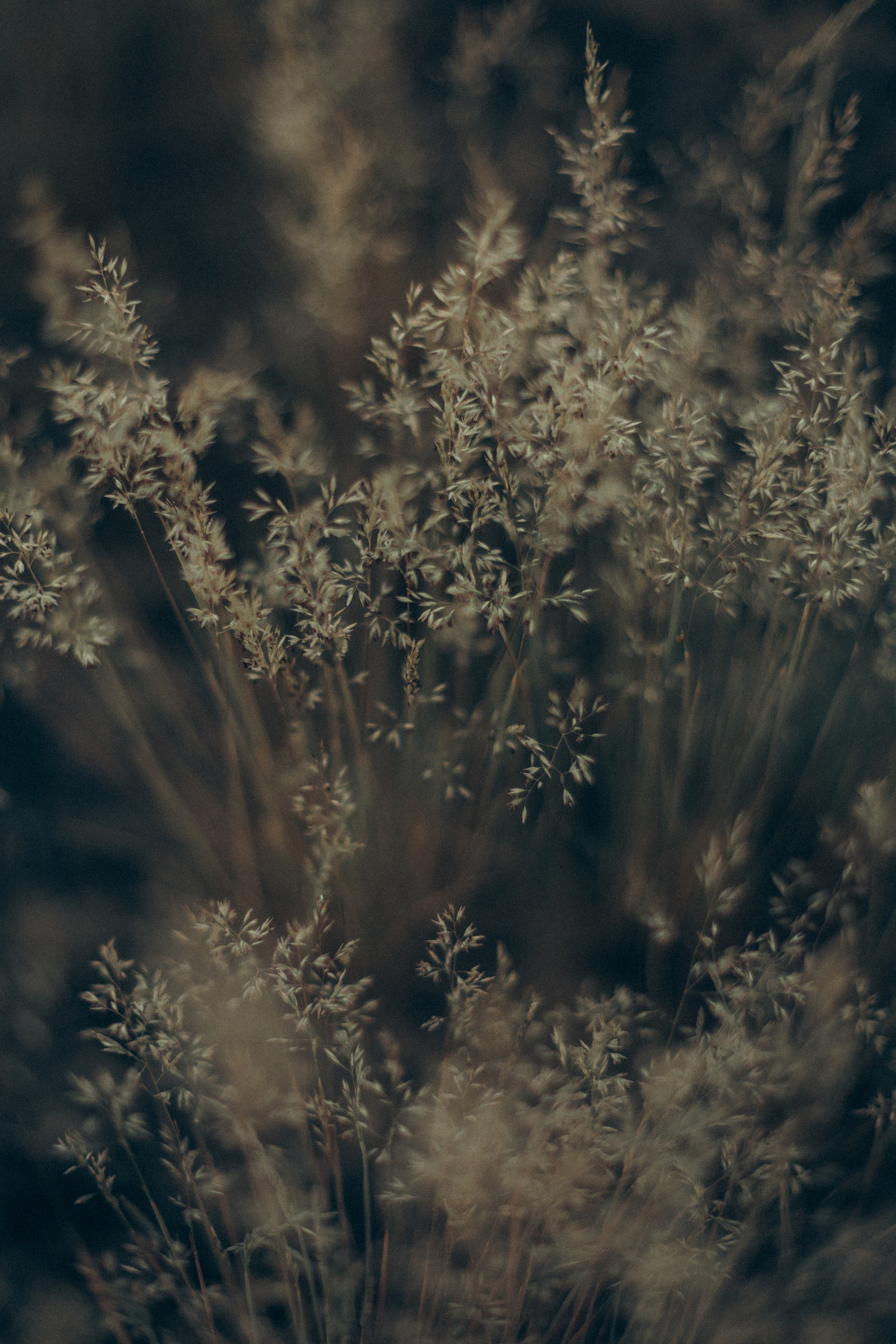 Портрет. Семейный фотограф в Минске и РБ Стеликова Анна