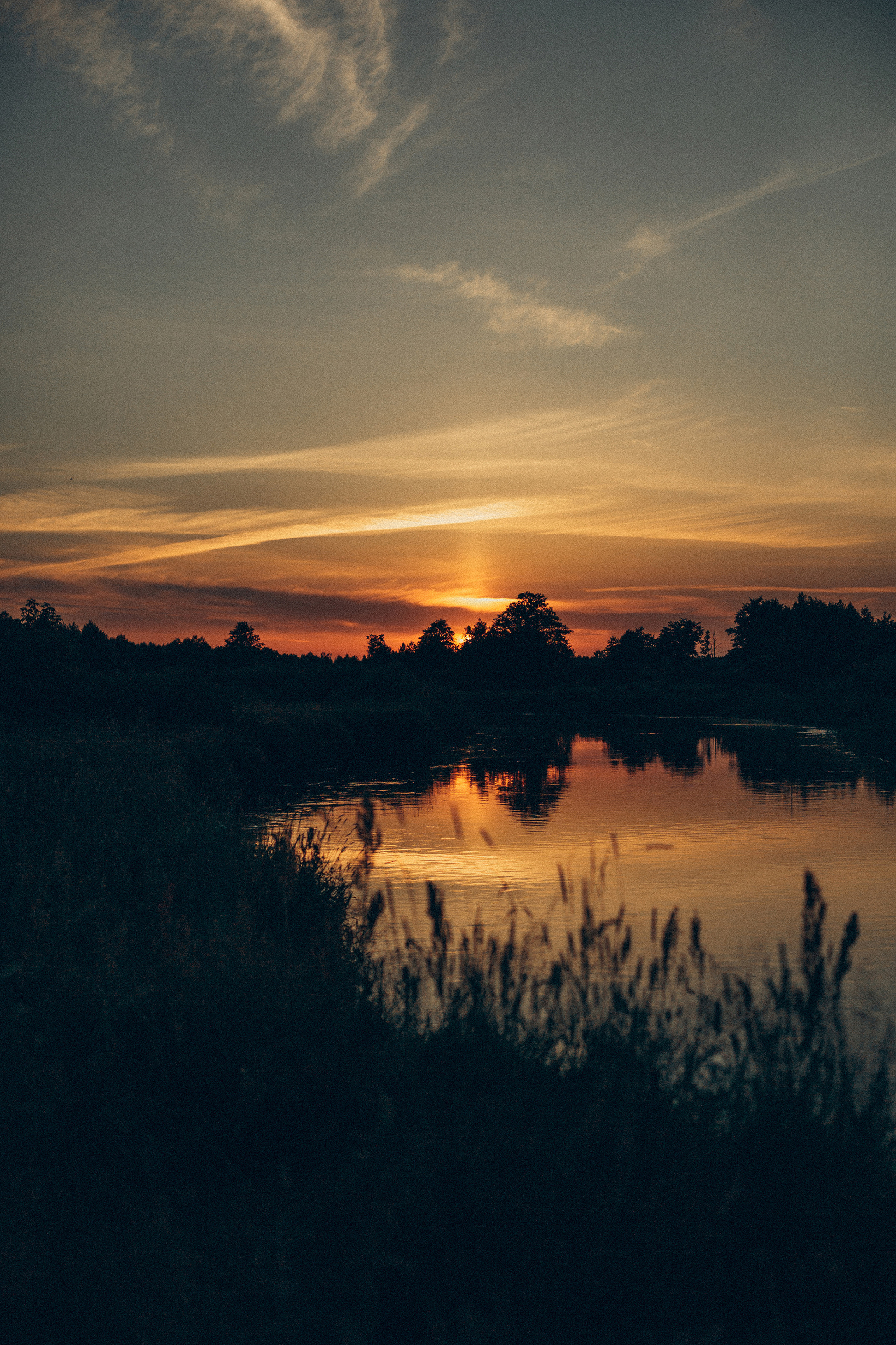 Портрет. Семейный фотограф в Минске и РБ Стеликова Анна