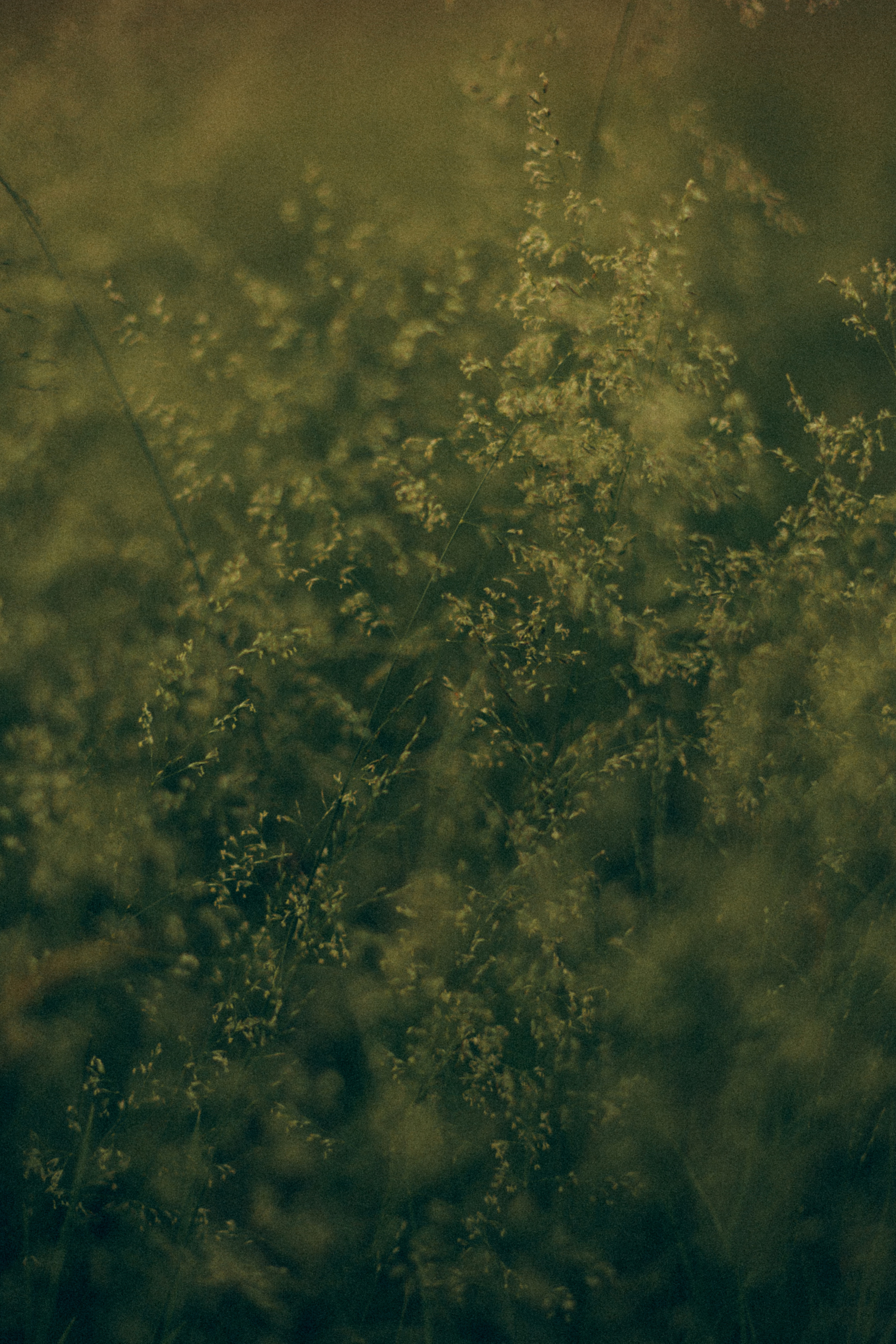 Портрет. Семейный фотограф в Минске и РБ Стеликова Анна