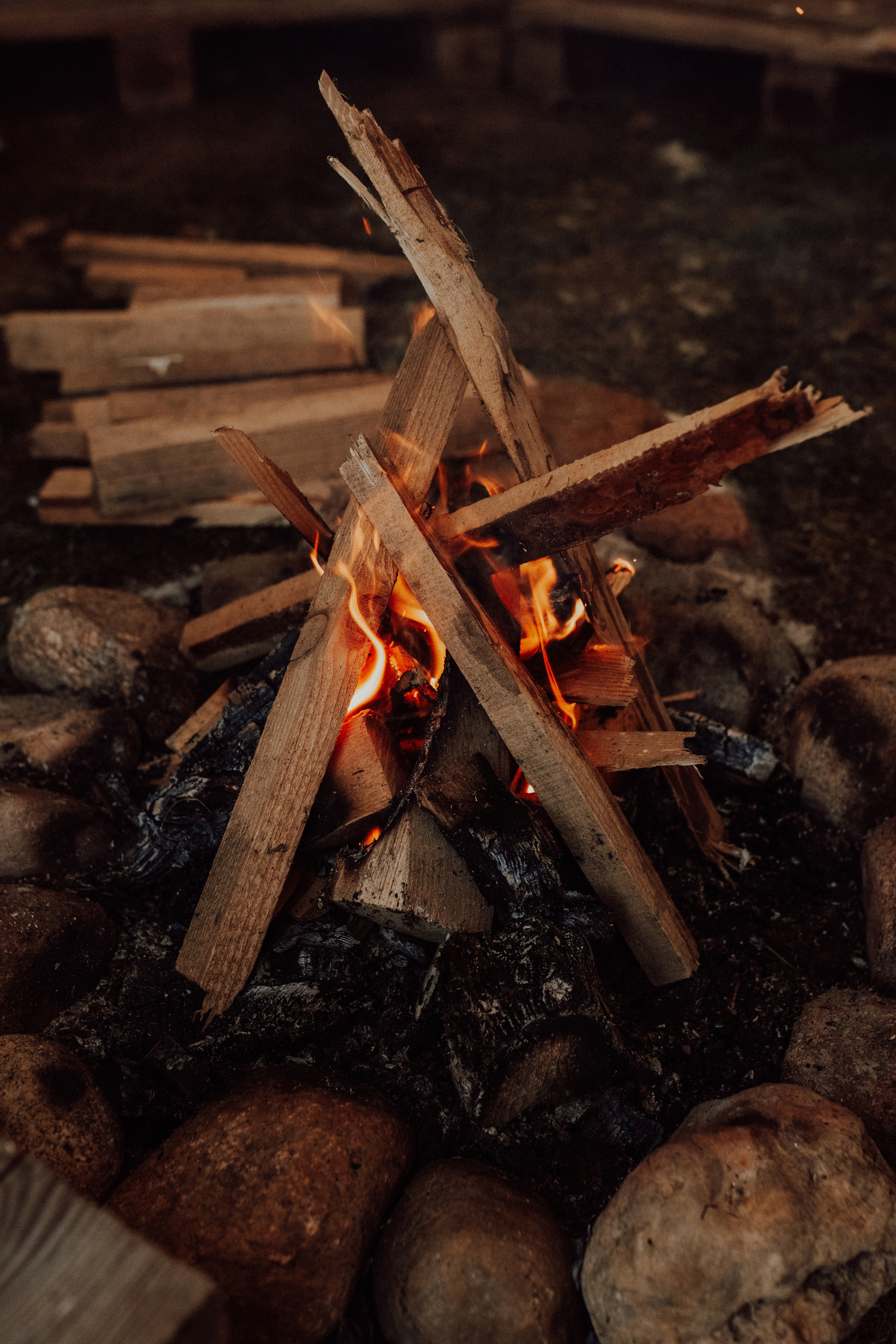 Рома Маша. Семейный фотограф в Минске и РБ Стеликова Анна