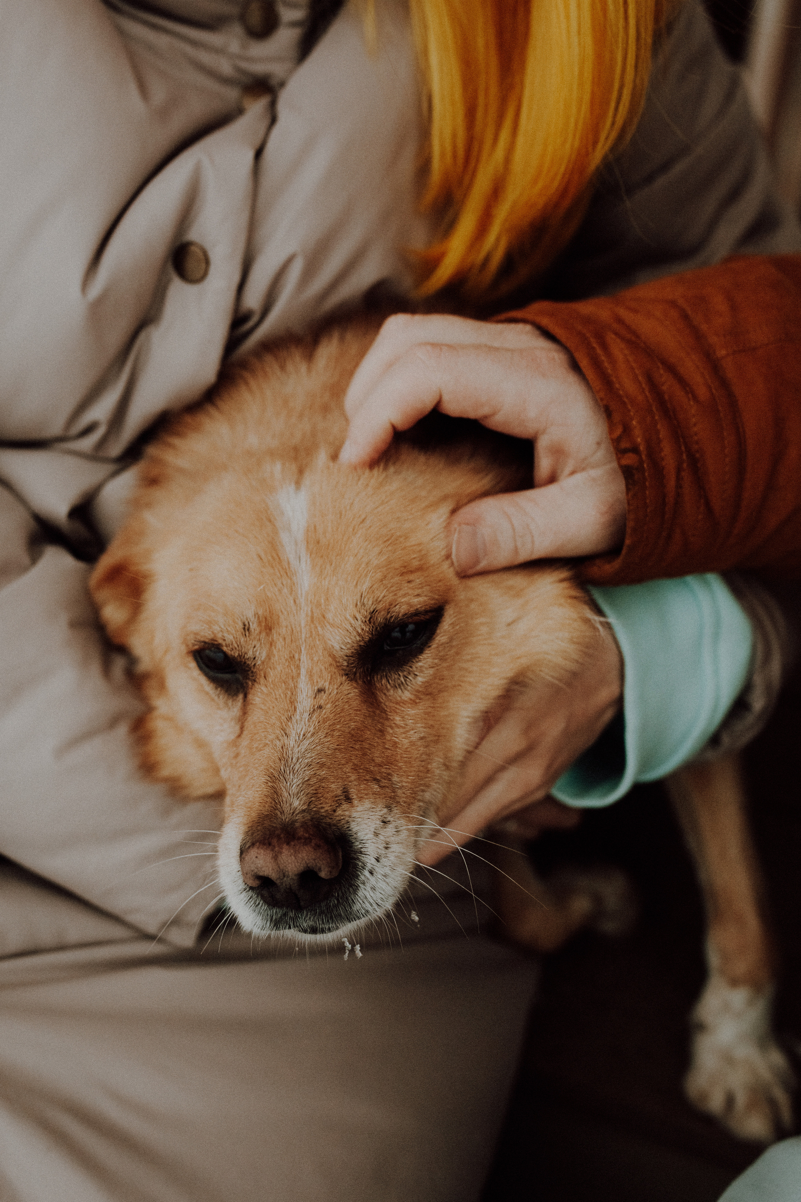 Рома Маша. Семейный фотограф в Минске и РБ Стеликова Анна