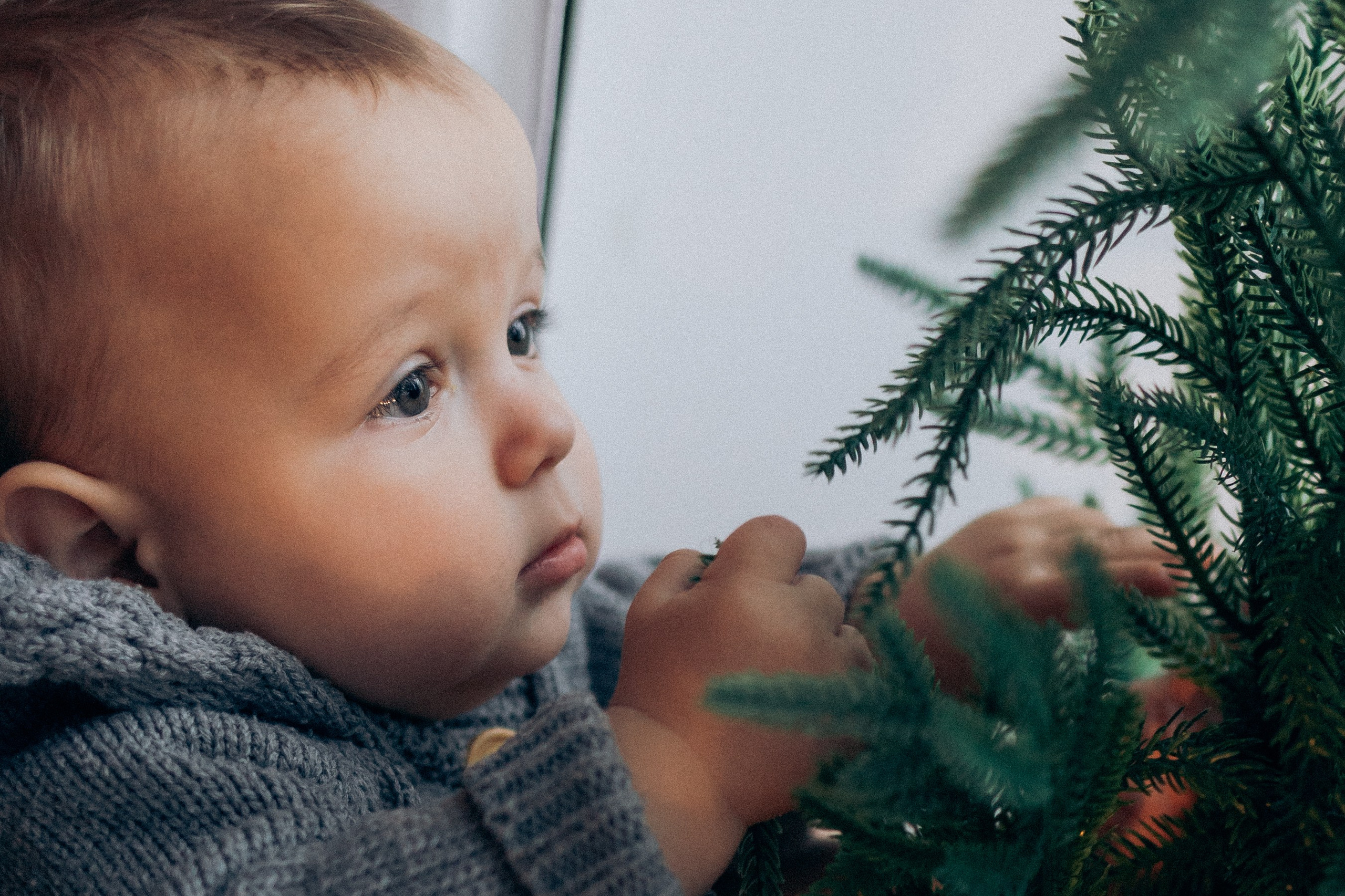 БОЛЬШАЯ СЕМЬЯ. Семейный Фотограф в Санкт-Петербурге Пушкин Анастасия Дьяконенкова