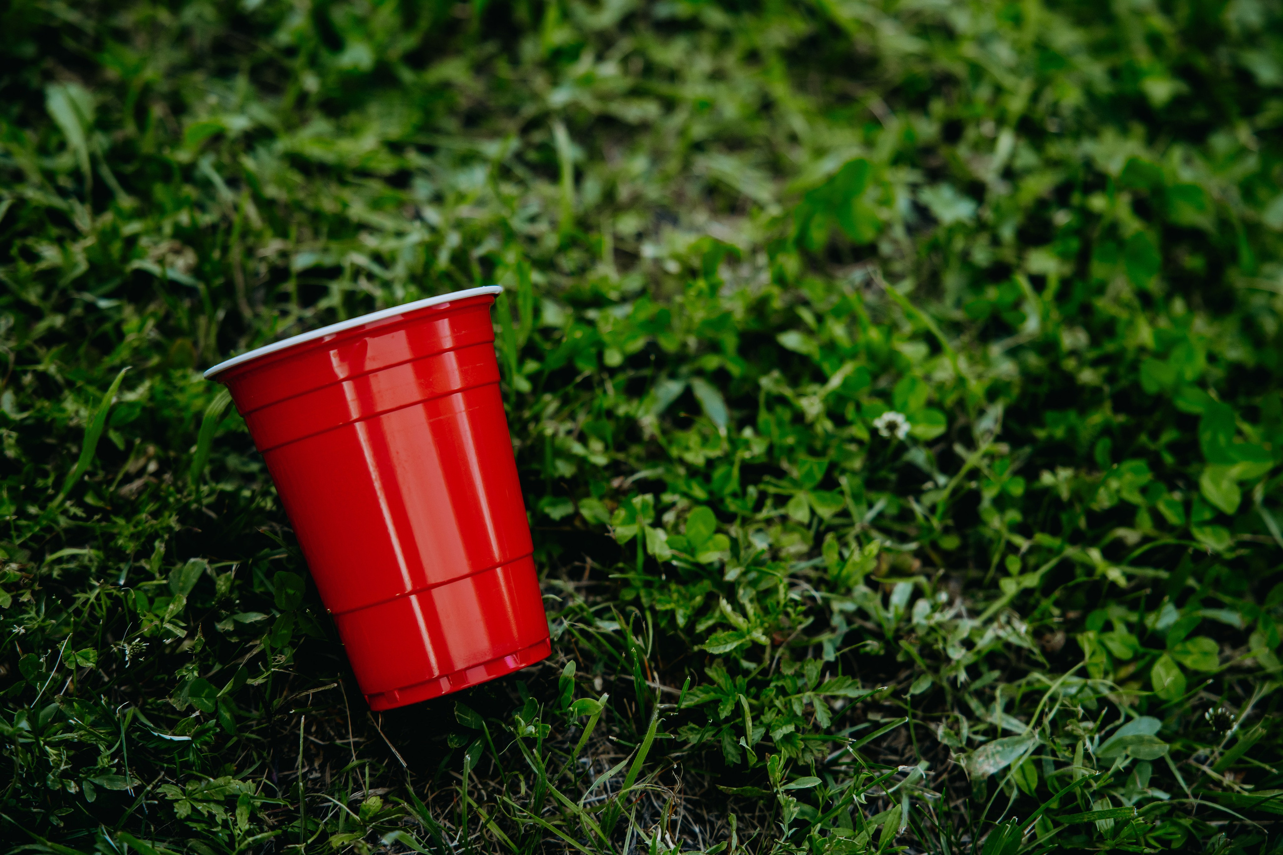 Дмитрий и Яна. Фотограф в Саратове Александр Кухаренко. И не только в Саратове :)