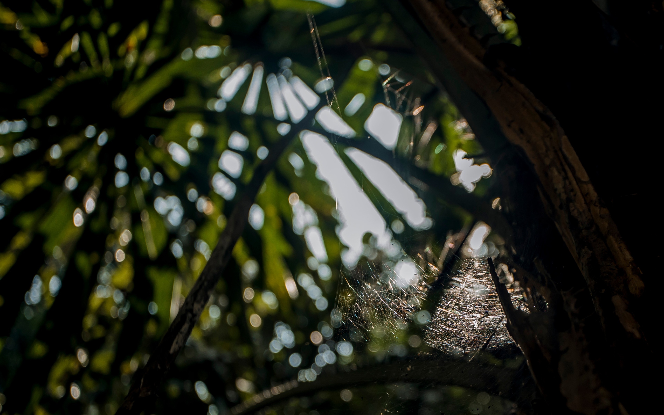 Andaman Islands, Part2. Art Photographer