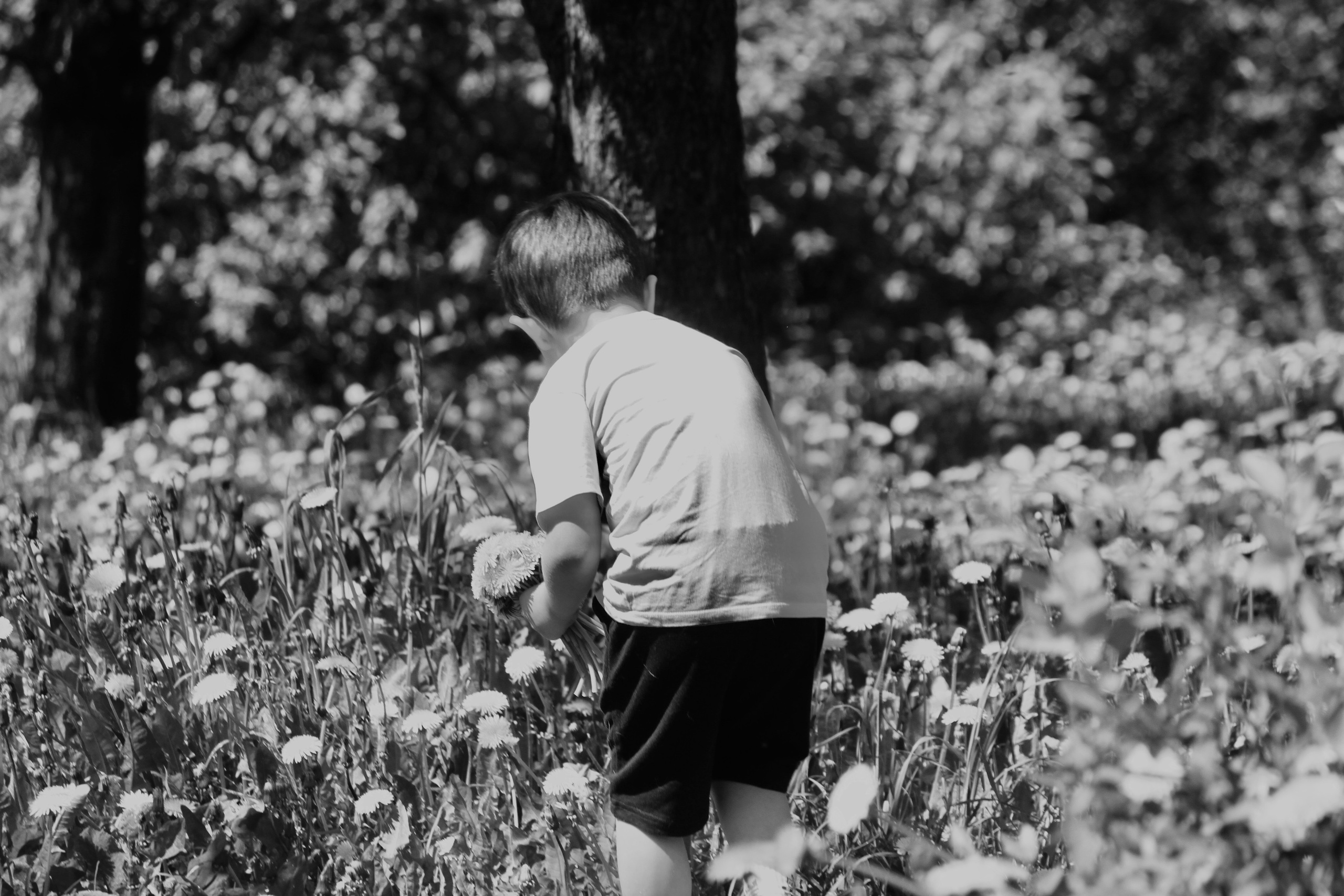 Семейная съемка