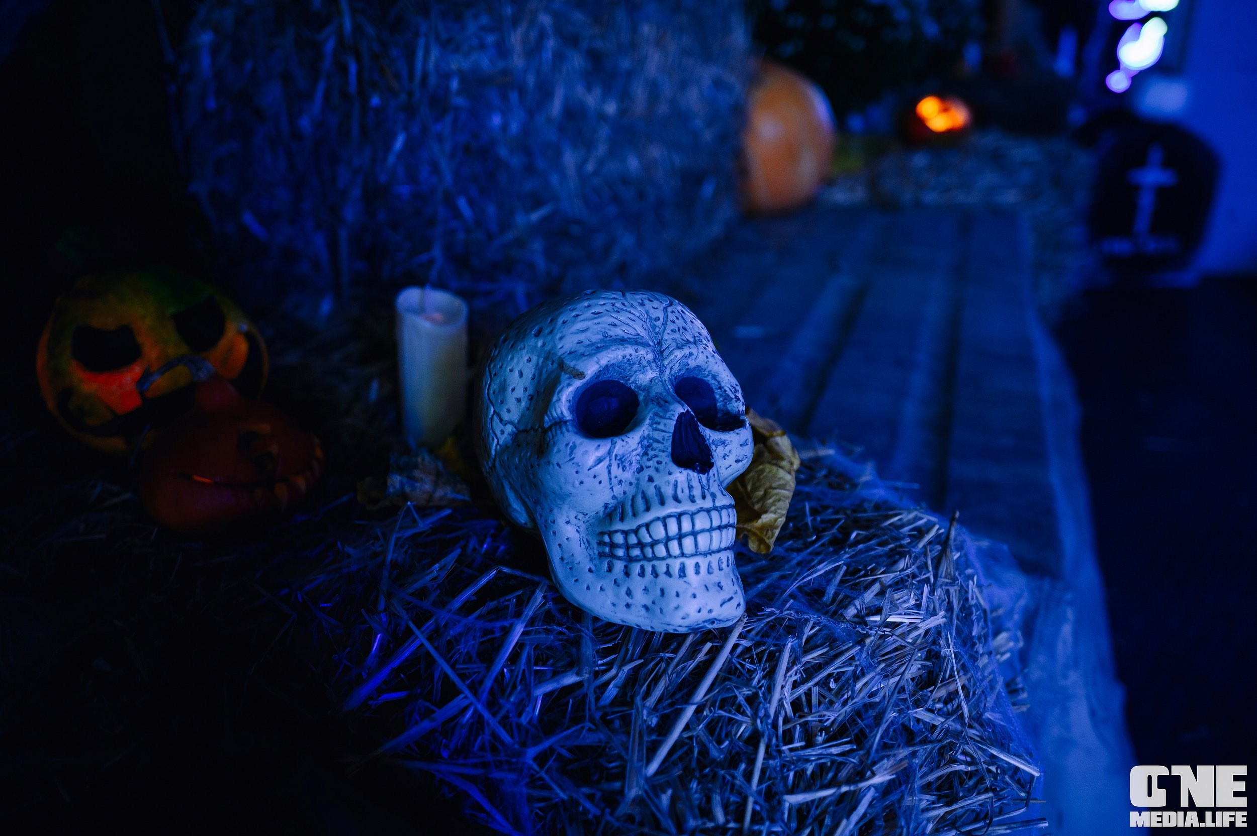 Фоторепортаж из бара Dreadnought. One Media Life: фоторепортажи, фотоотчеты с мероприятий и заведений