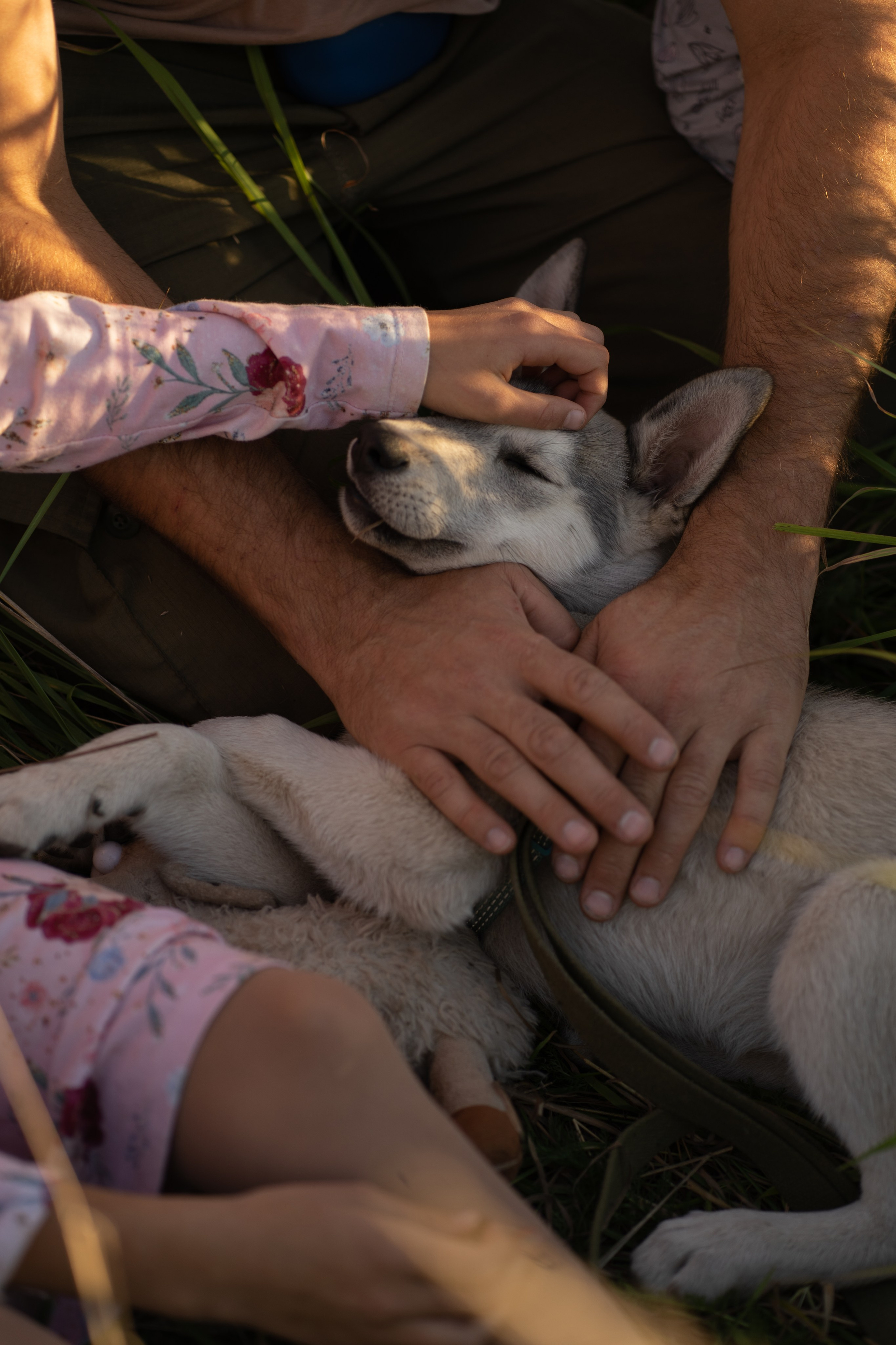 Семейная съемка для Александры. Фотограф Катя Стрельцова