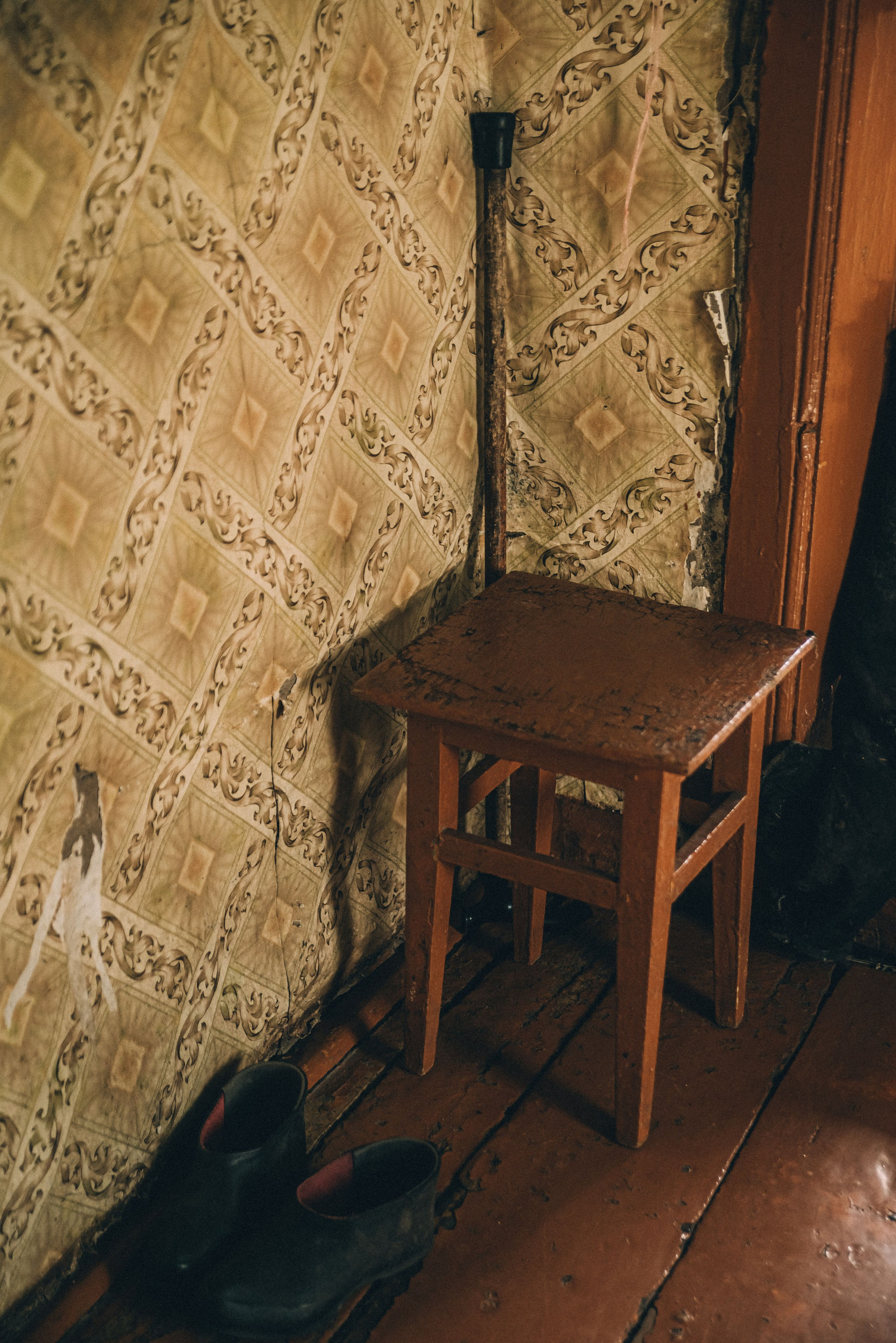 XIV Автопробег 2024 «Ветеранам глубинки — заботу и внимание» (маршрут № 3). Фотограф в Самаре Елена Фомина