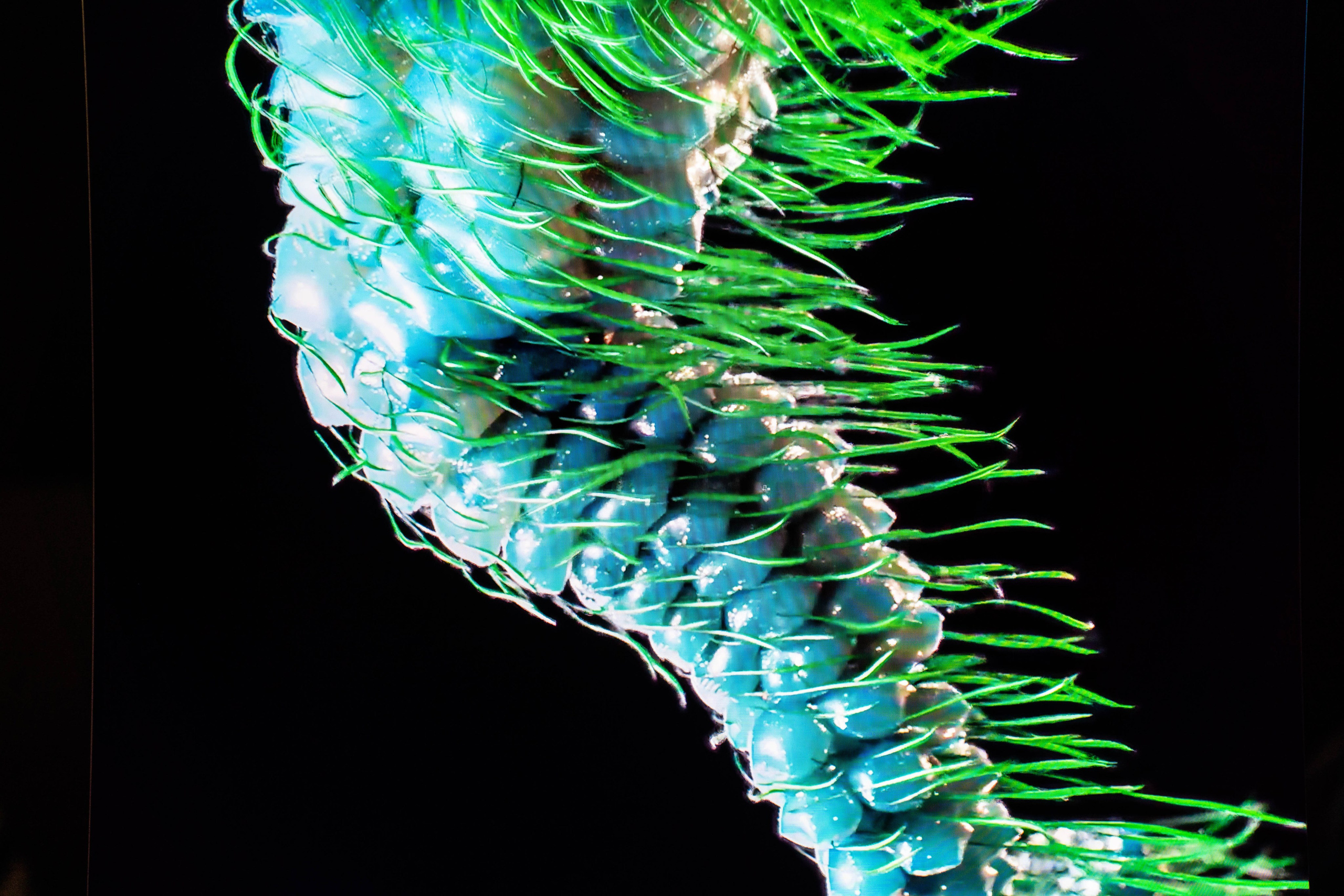 MARS. Фотограф Абакумова Анастасия