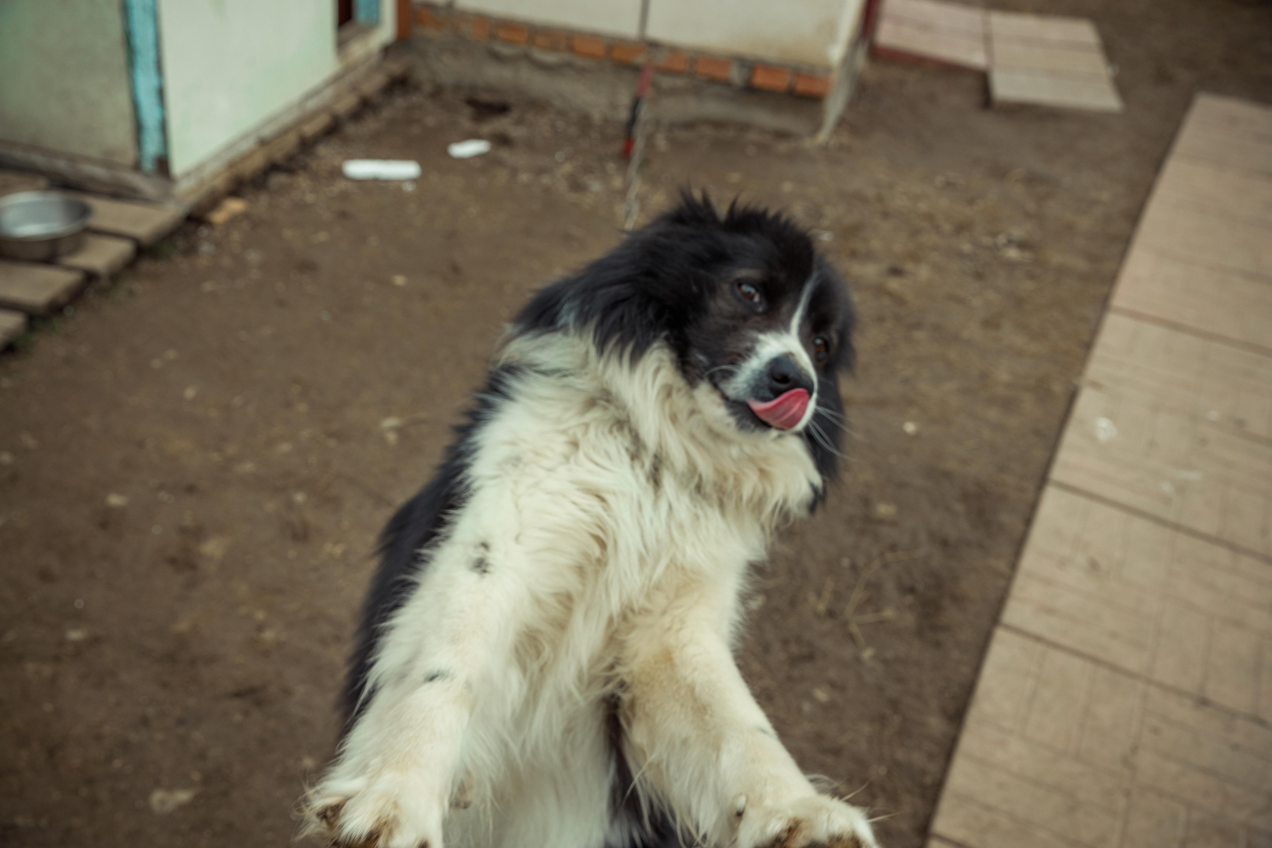 Василискин двор. Фотограф Виталий Верескун. Козельск-Калуга