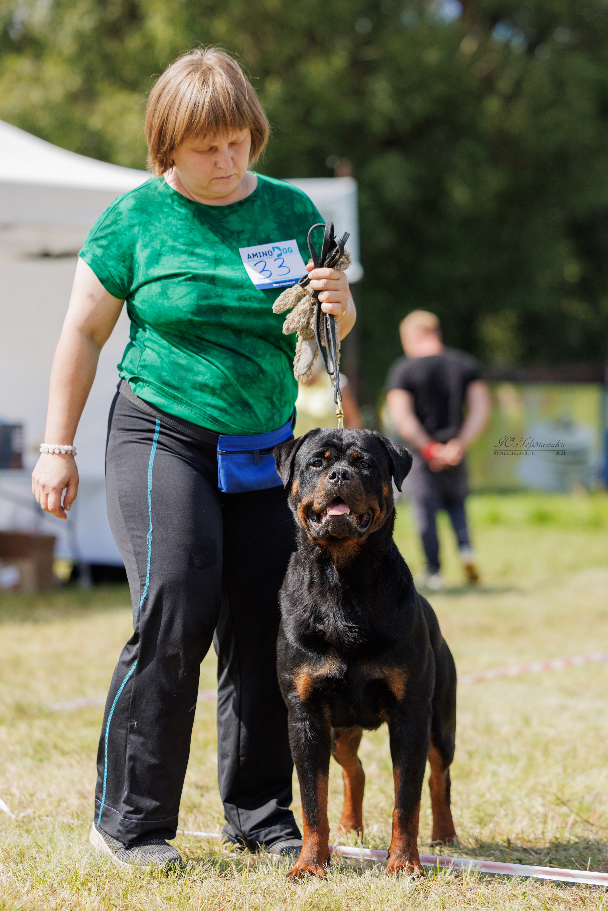 Рязань-Ховрино 10-11.08.2024 3хмоно ротвейлеров. Фотограф-анималист Юлия Германика