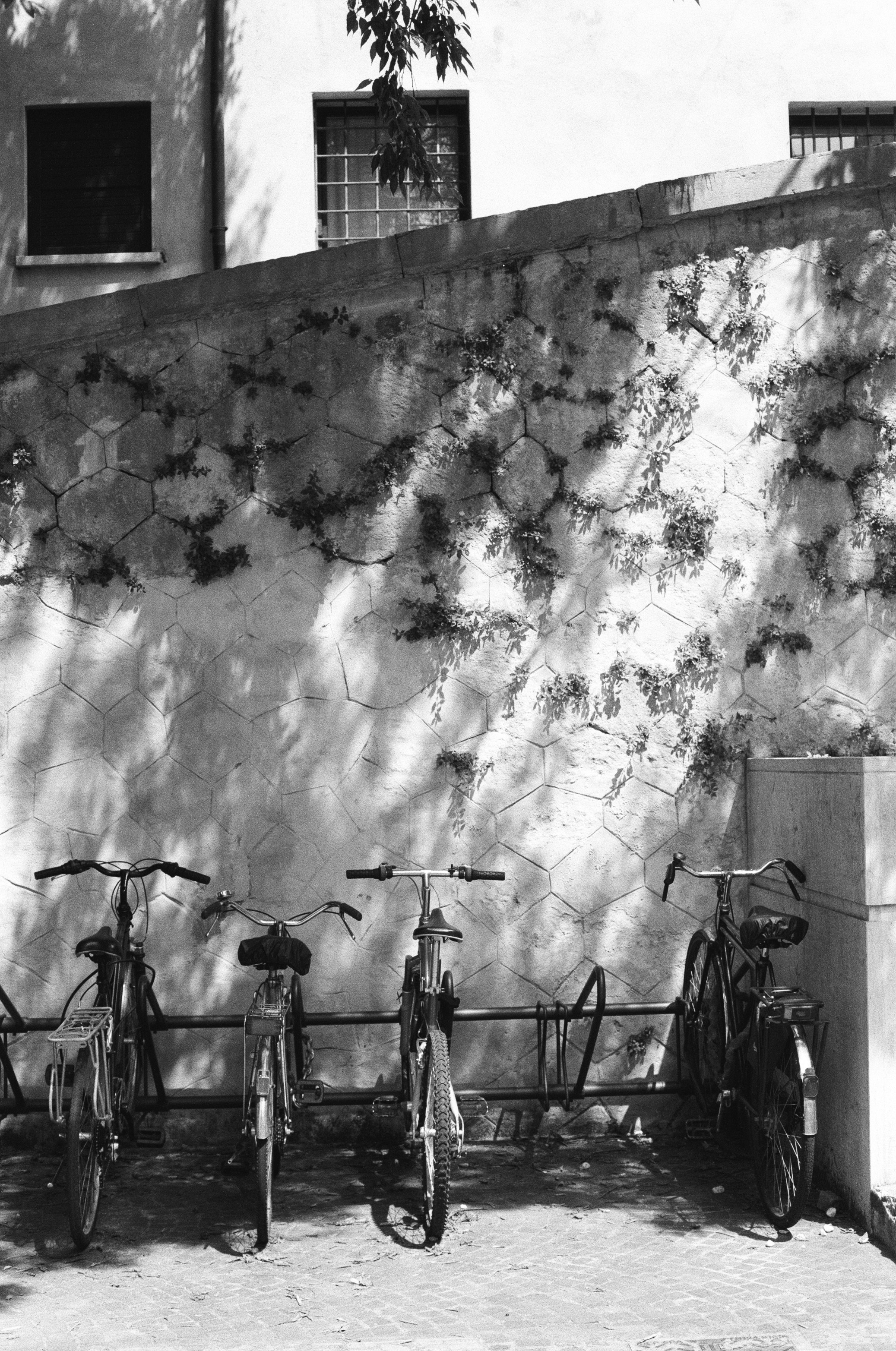 Fine art. Katya Zimina, film photographer