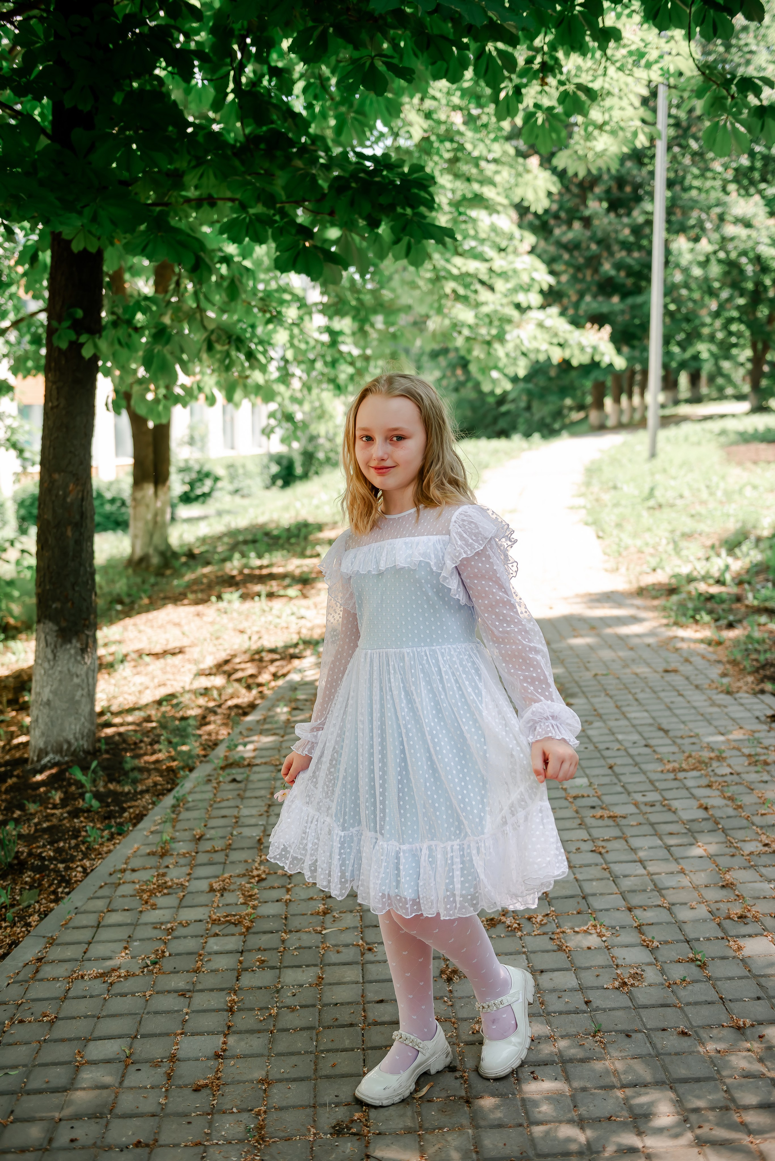 4 «Б» |г.Белгород |31 школа|2024-2025. ALBUMIA