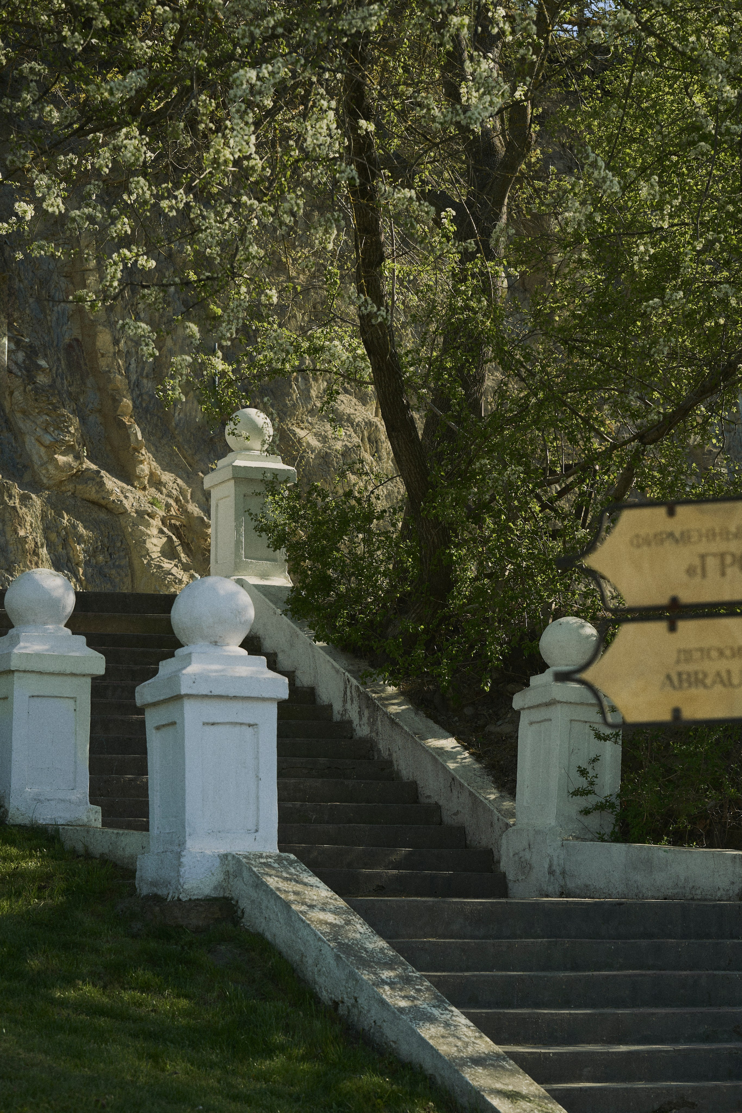 Krasnodar. Гасанова Алина|Фотограф в Санкт-Петербурге