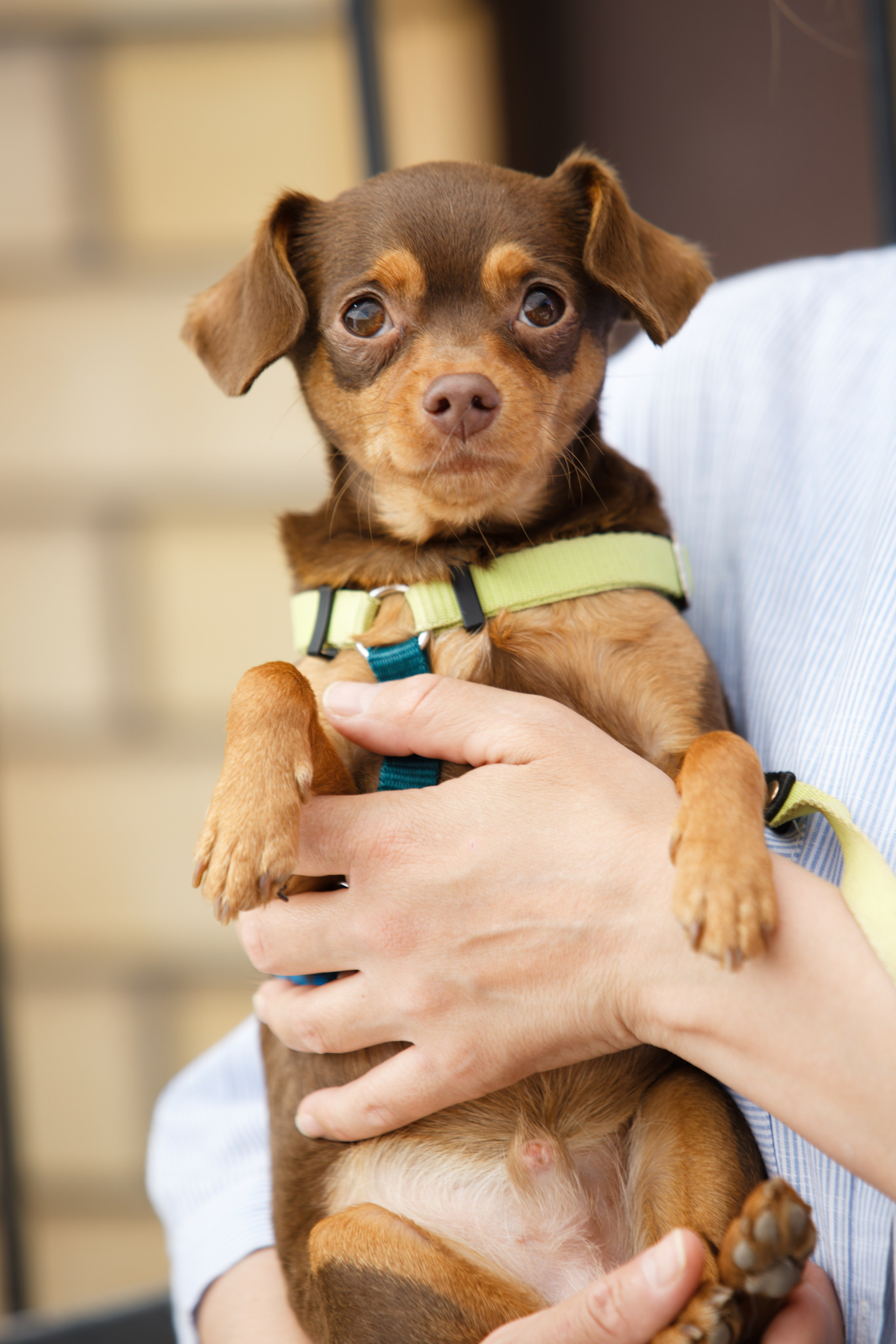 Мир животных. Репортажный и спортивный фотограф в г. Пермь Зильберг Павел