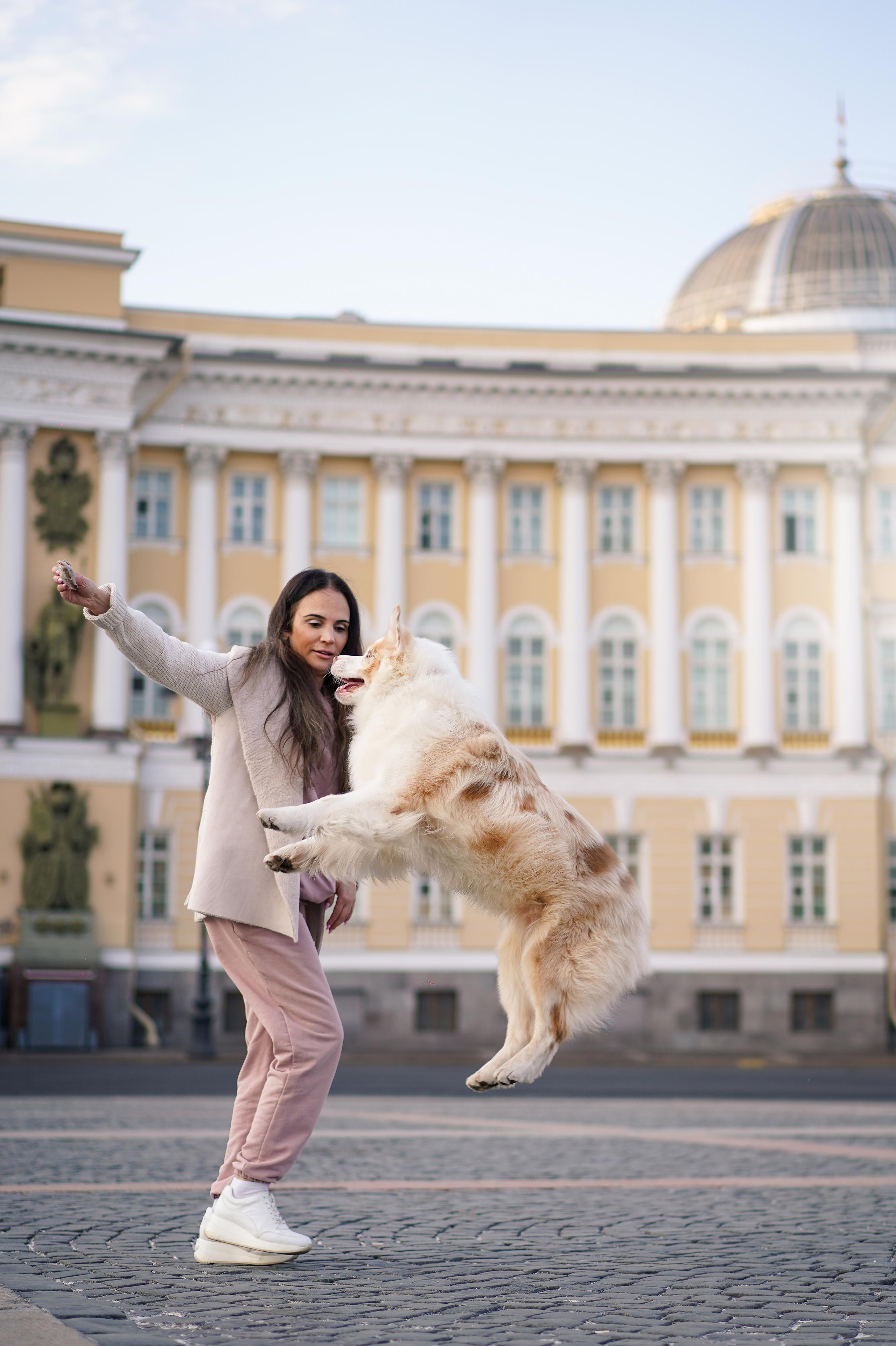 Кристина, Катя и аусси. Фотограф-анималист в Санкт-Петербурге Яна Мартынова
