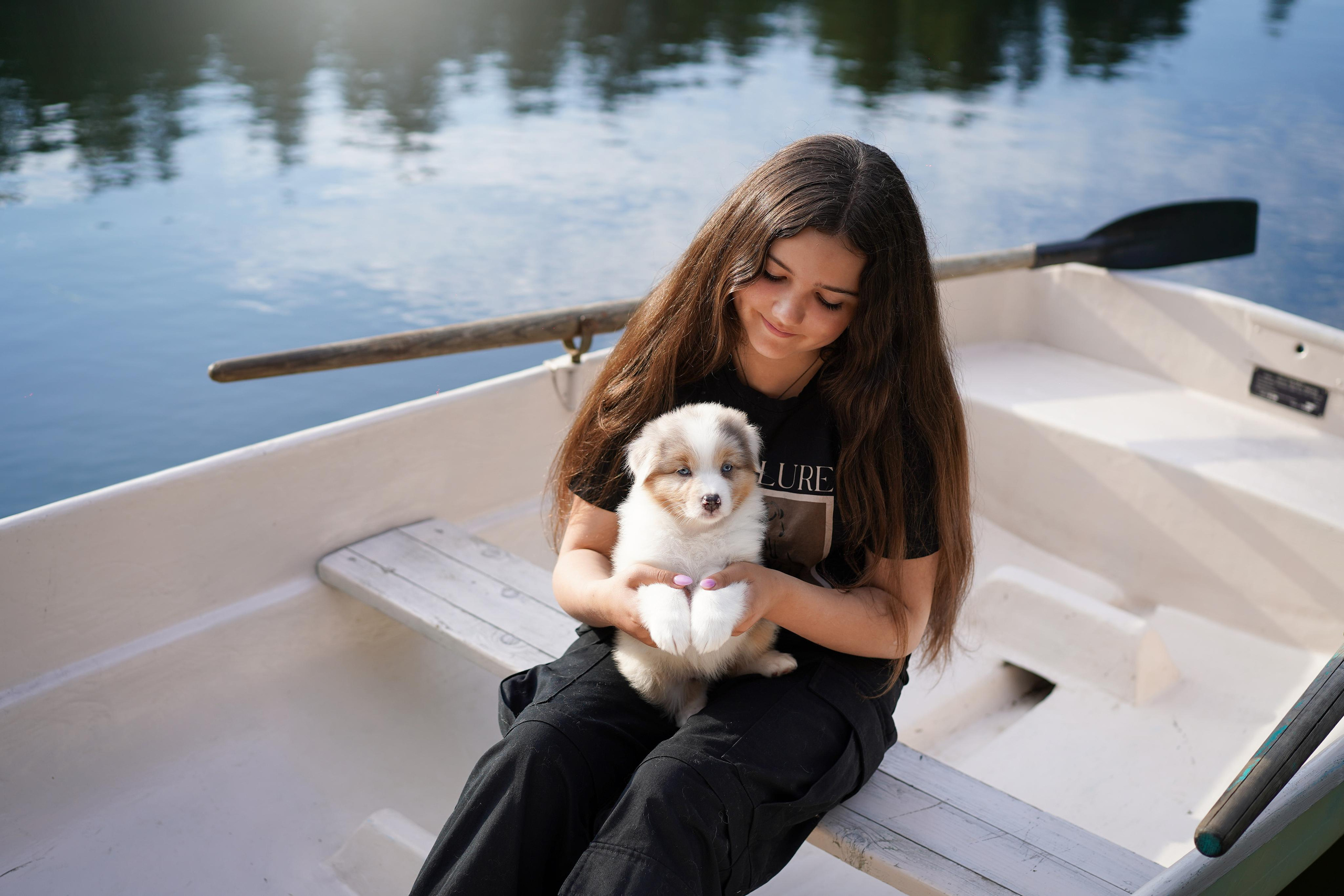 Щенки австралийской овчарки. Фотограф-анималист в Санкт-Петербурге Яна Мартынова