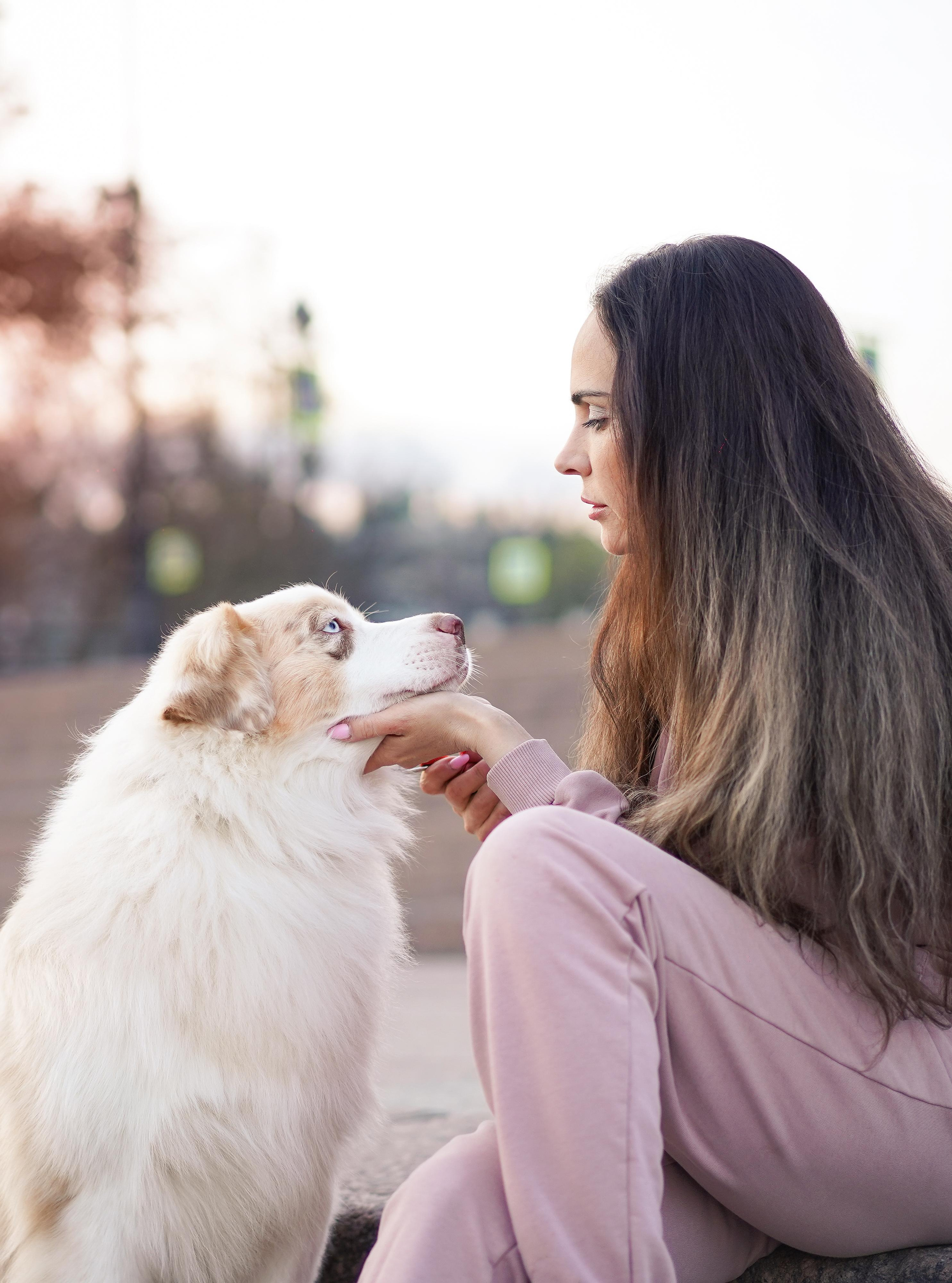 Кристина, Катя и аусси. Фотограф-анималист в Санкт-Петербурге Яна Мартынова