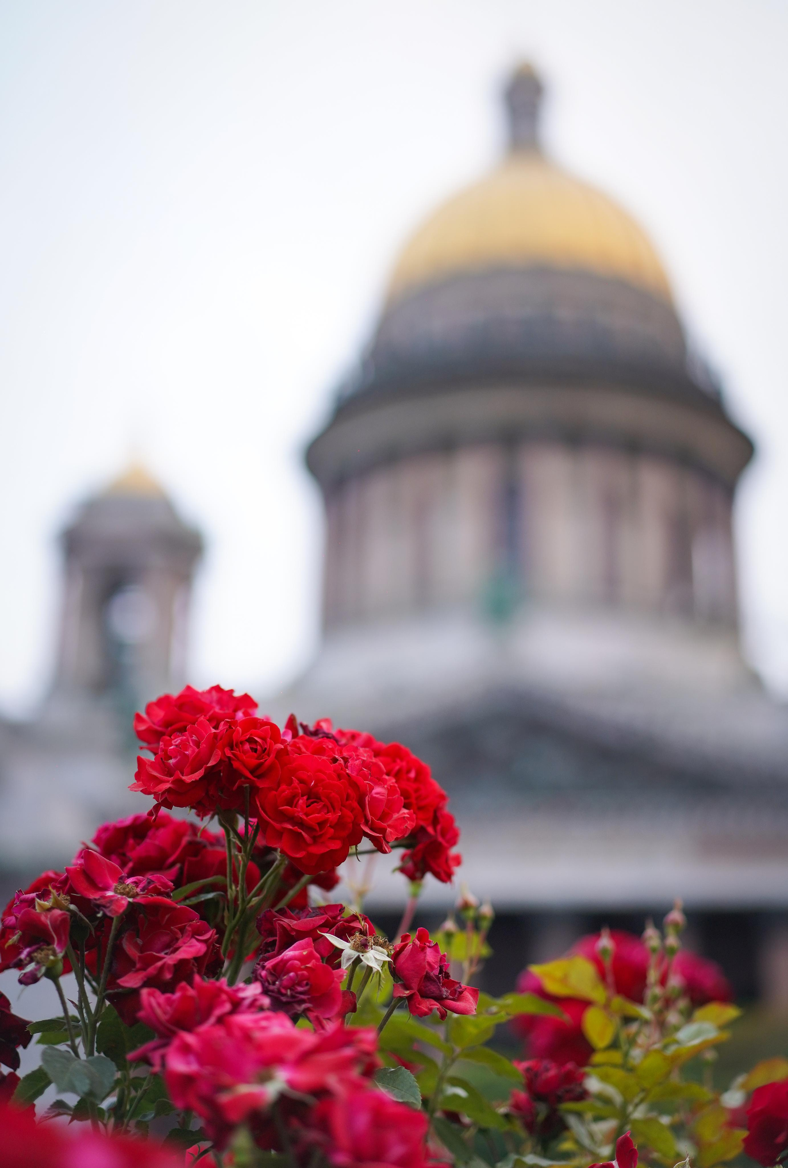 Ильгиза и Гая центр. Фотограф-анималист в Санкт-Петербурге Яна Мартынова