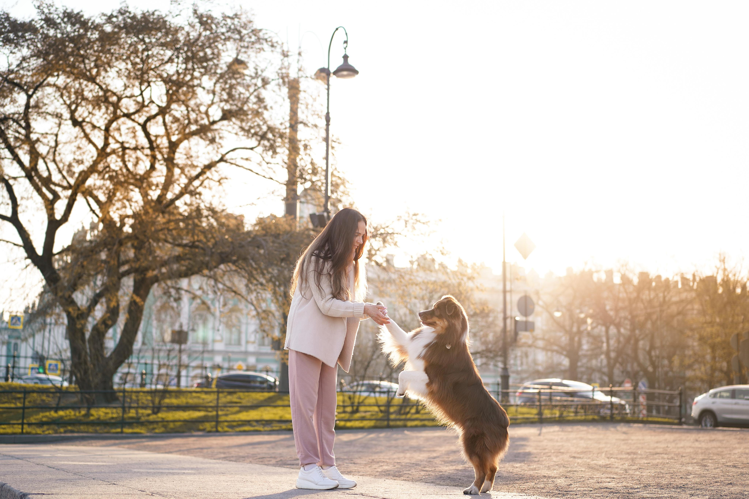 Кристина, Катя и аусси. Фотограф-анималист в Санкт-Петербурге Яна Мартынова