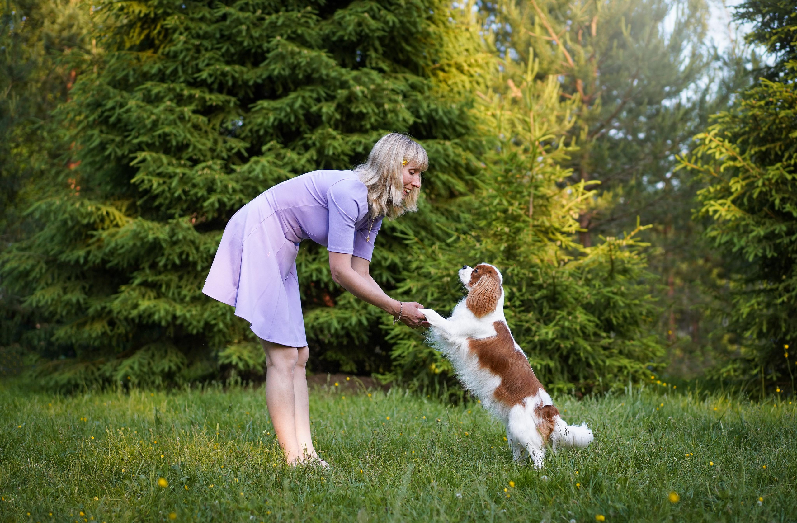 Злата, Луна, Сима и ребята. Фотограф-анималист в Санкт-Петербурге Яна Мартынова