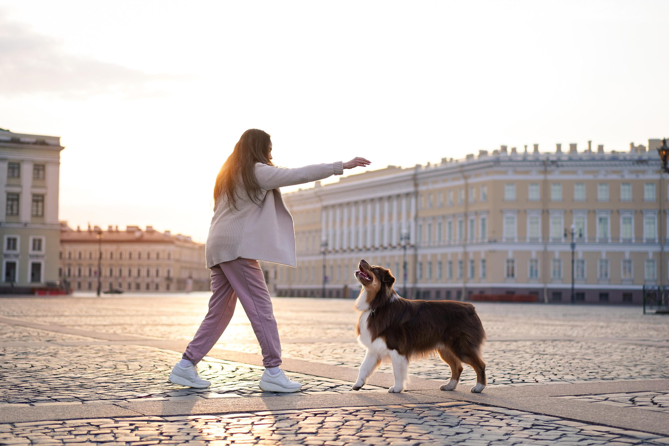 Кристина, Катя и аусси. Фотограф-анималист в Санкт-Петербурге Яна Мартынова