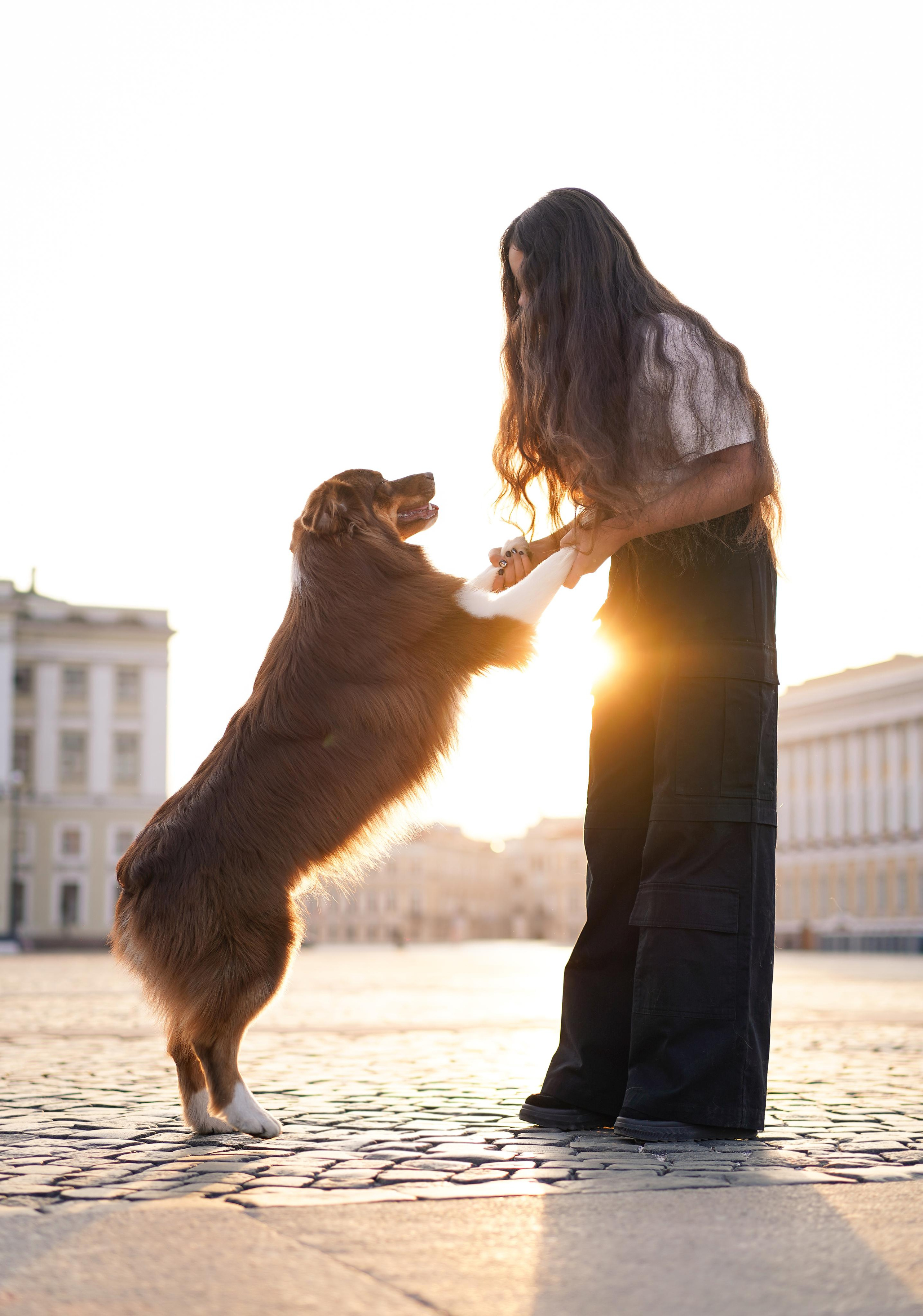 Кристина, Катя и аусси. Фотограф-анималист в Санкт-Петербурге Яна Мартынова